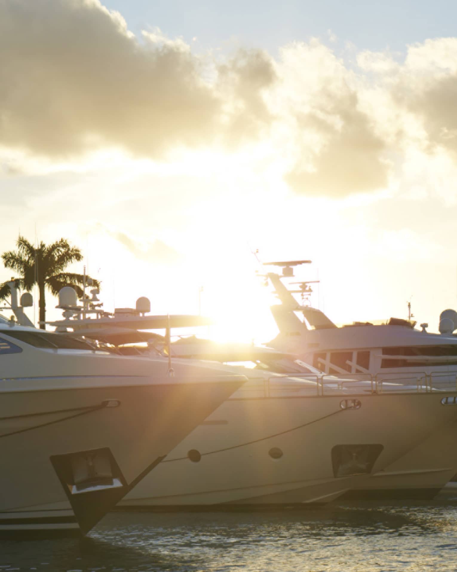 Yachts lined up on water at sunset