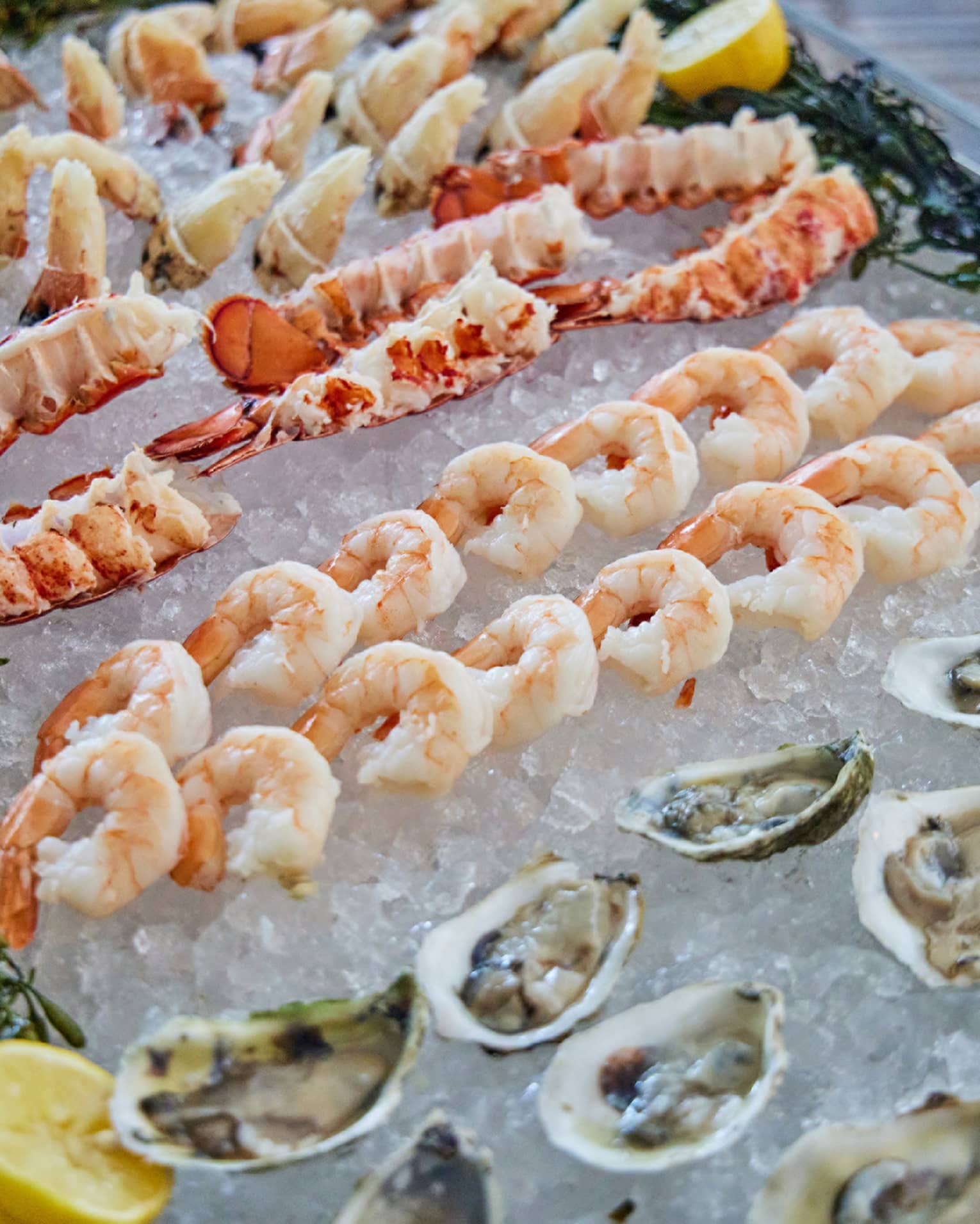An assort of seafood on ice.