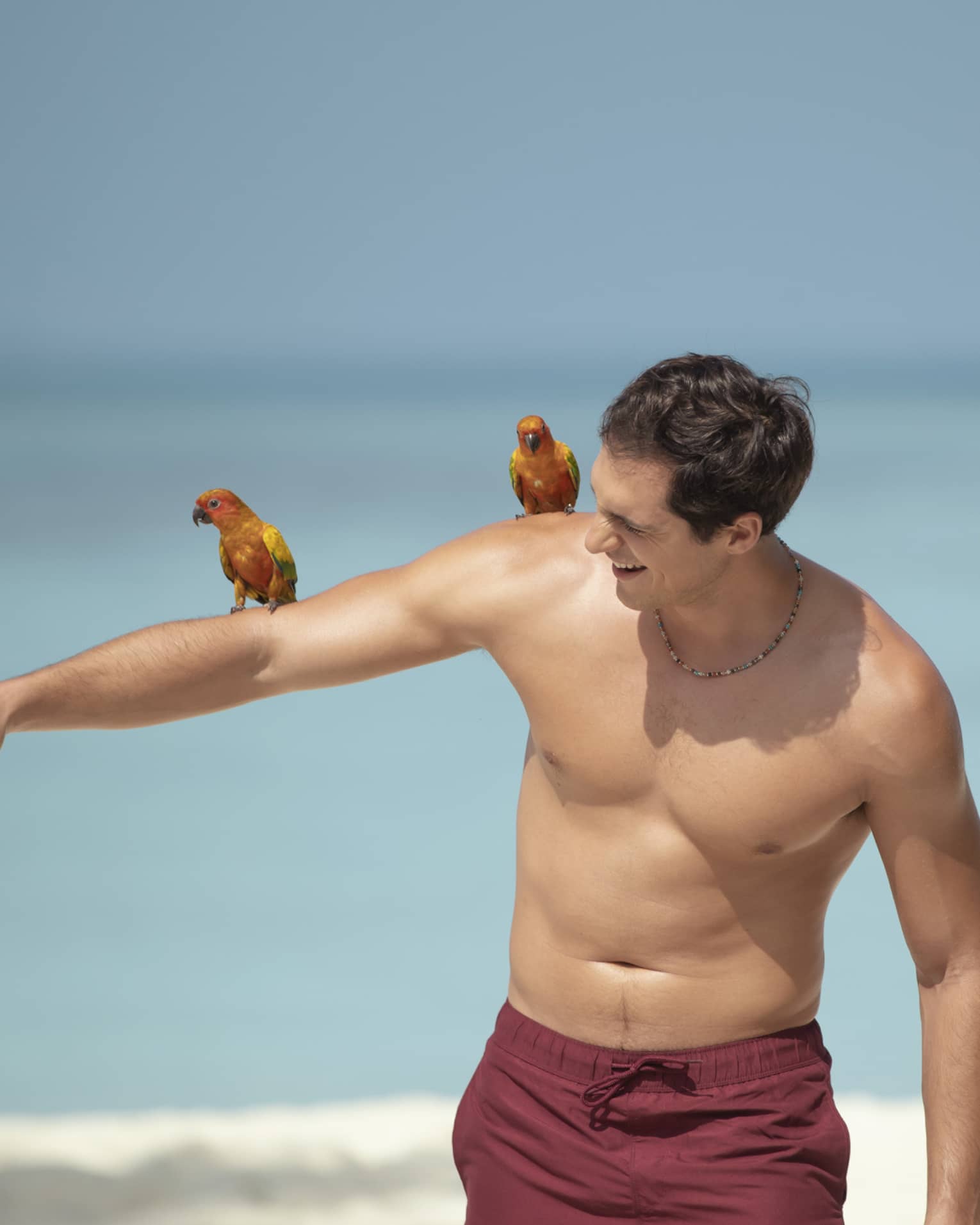 Two people on a beach interacting with colourful birds