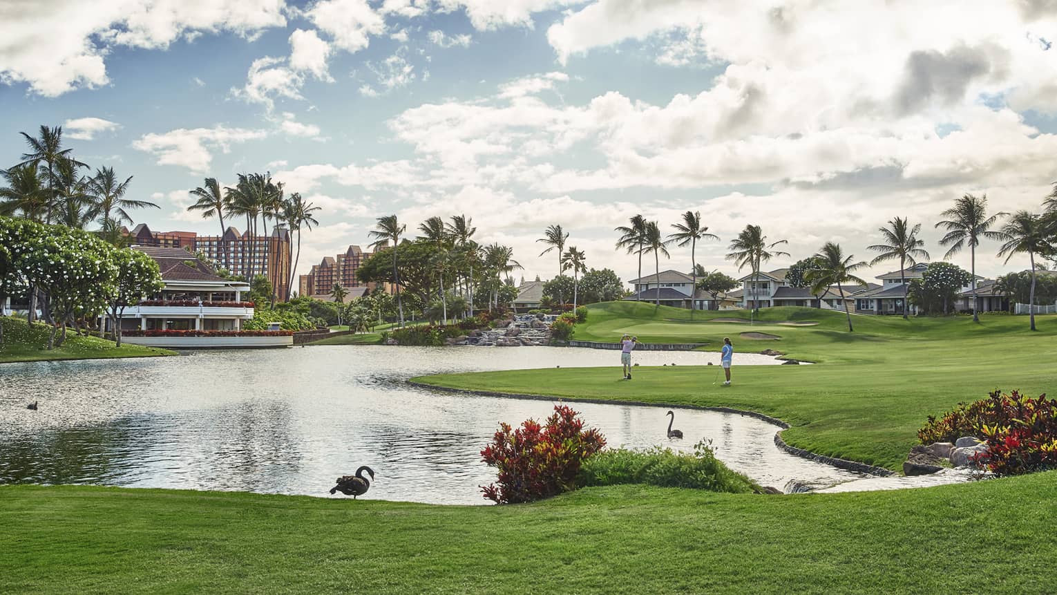Golf course featuring a irregular shaped pond, tropical bushes, palm trees in the distance