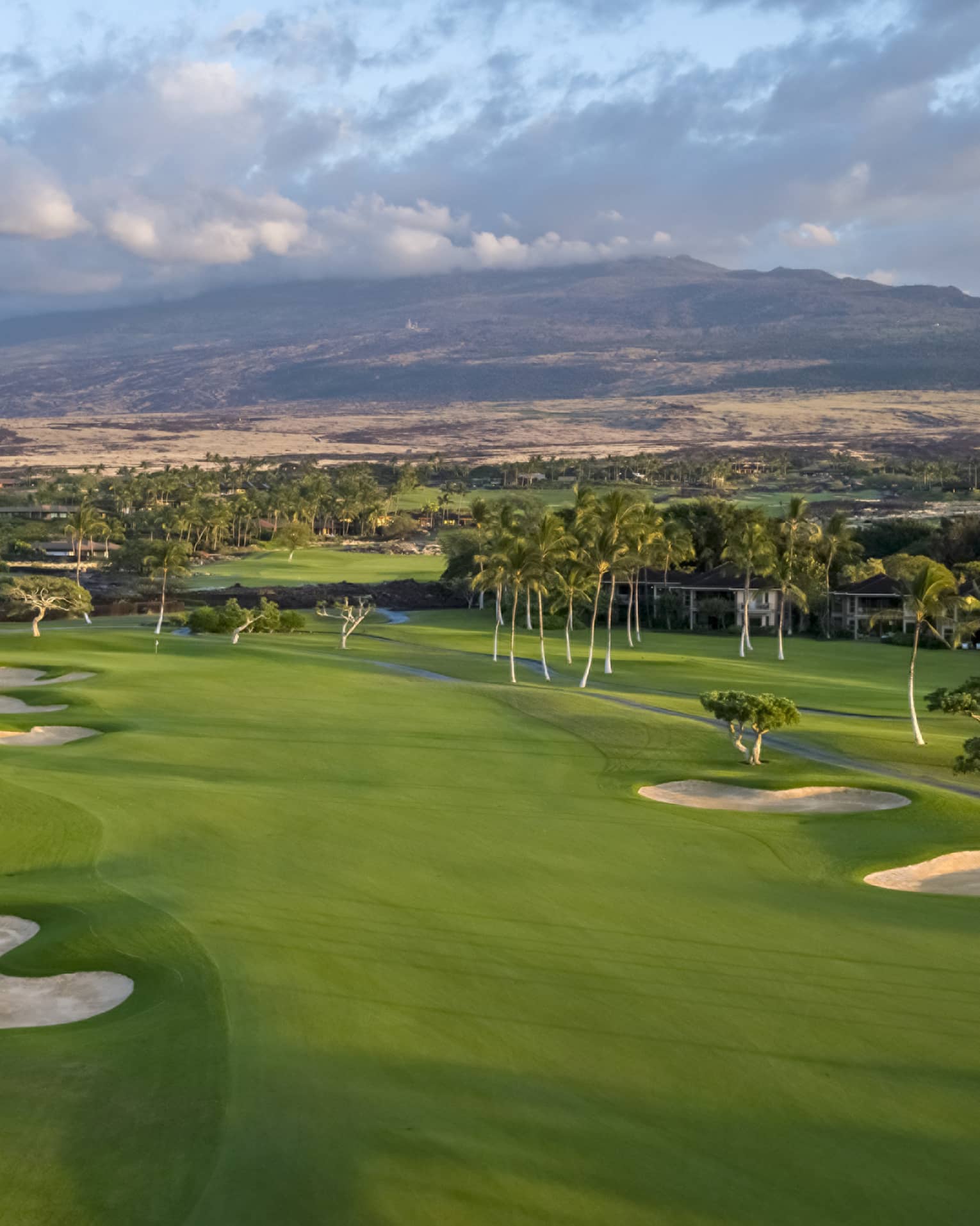 A golf course with greens, sand pits and trees.