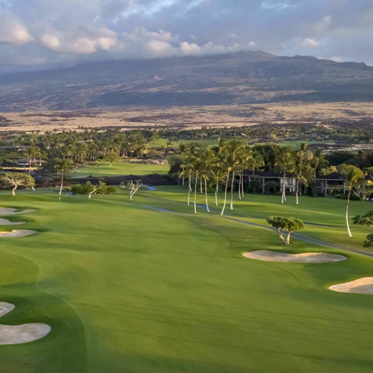 A golf course with greens, sand pits and trees.
