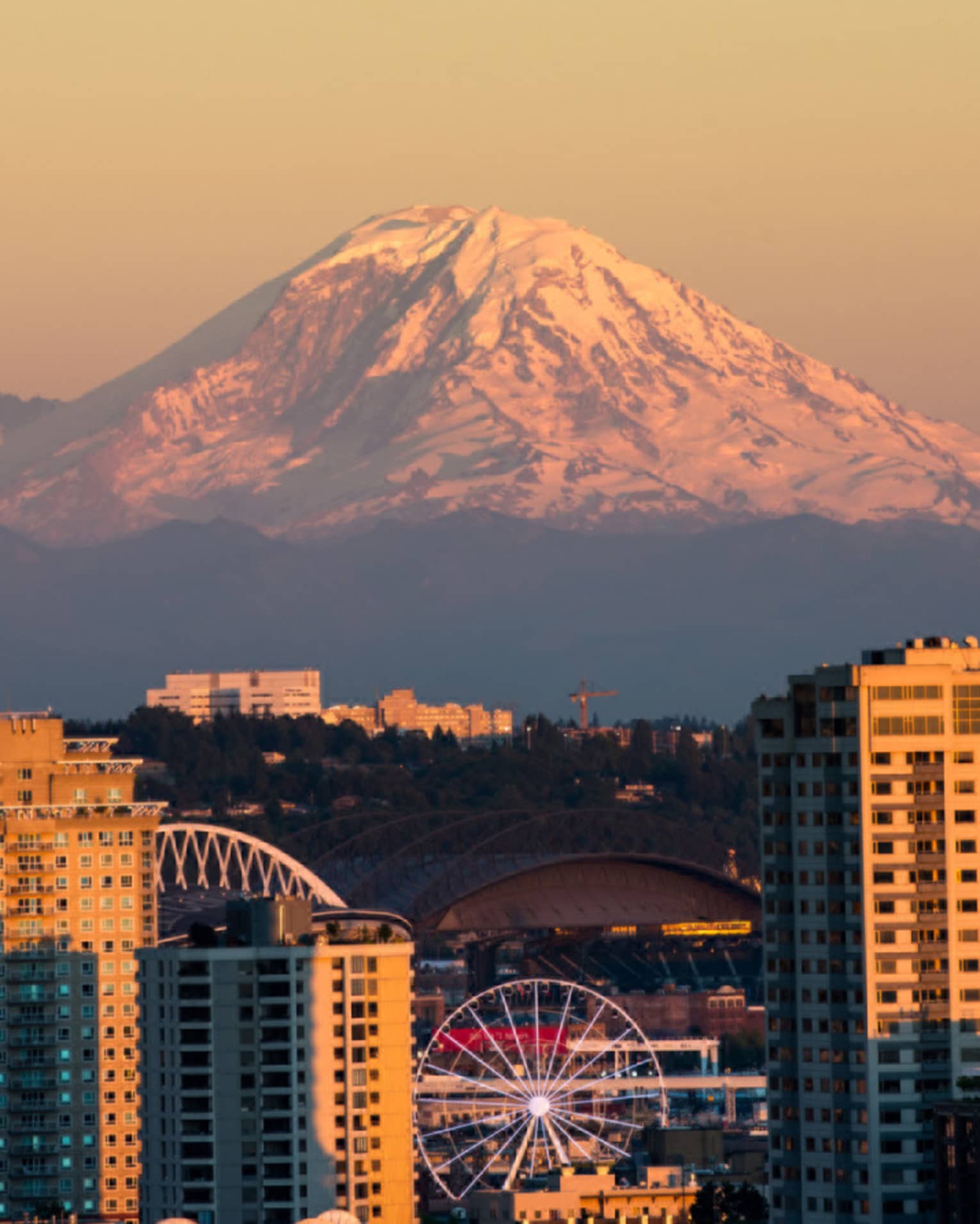 In the background, a massive mountain dominates the sunset skyline of a modern city. Skyscrapers rise in the foreground.