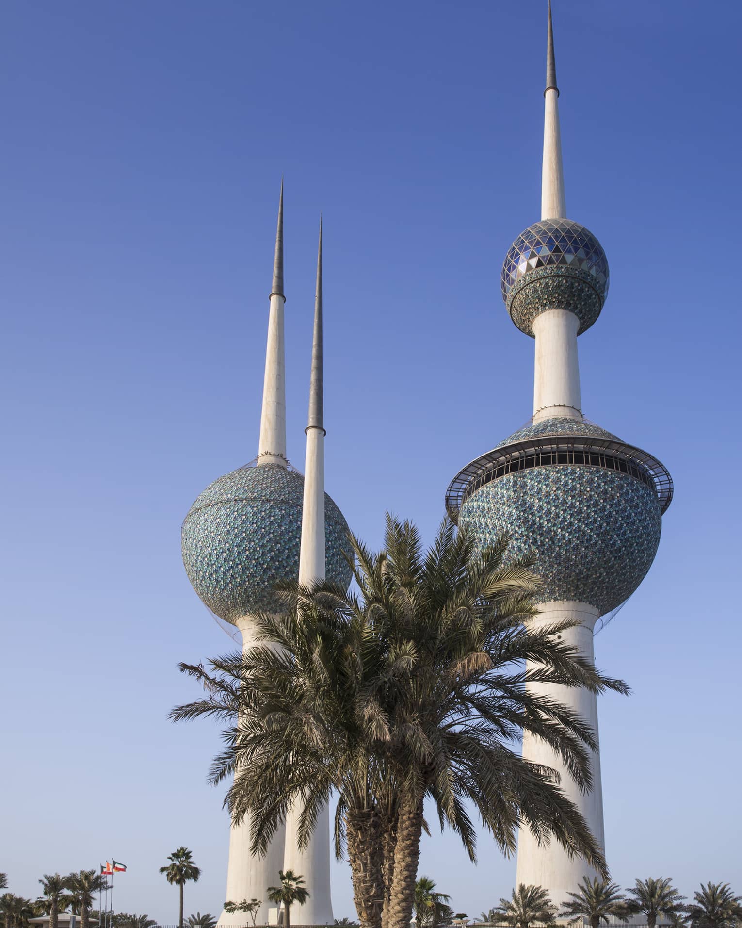 View of Kuwait Towers with palm tree in foreground and blue sky