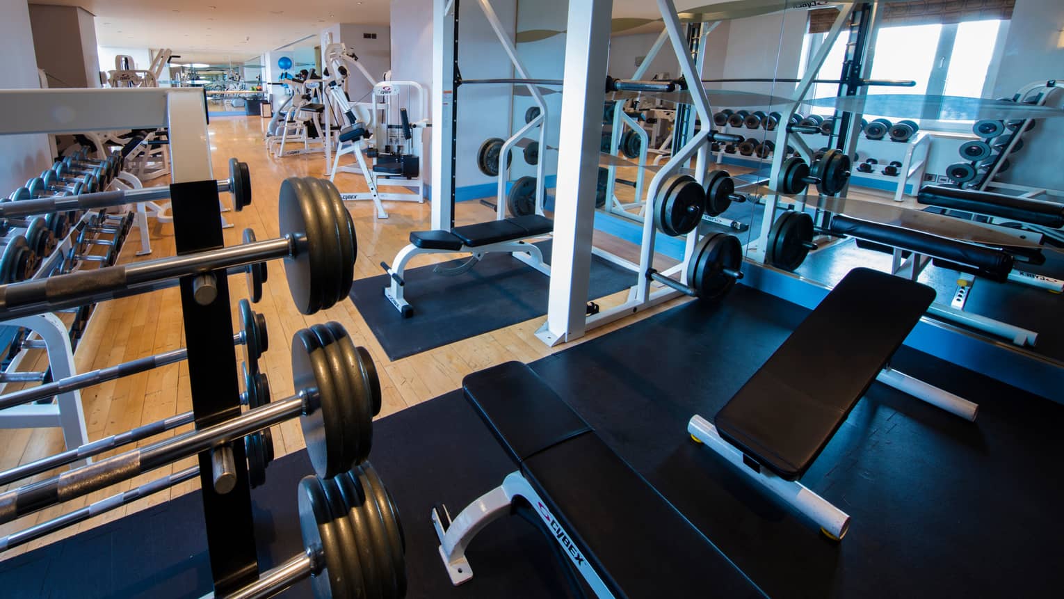 Fitness facility barbells and weight lifting machines, with cardio machines and mirrors on lower level
