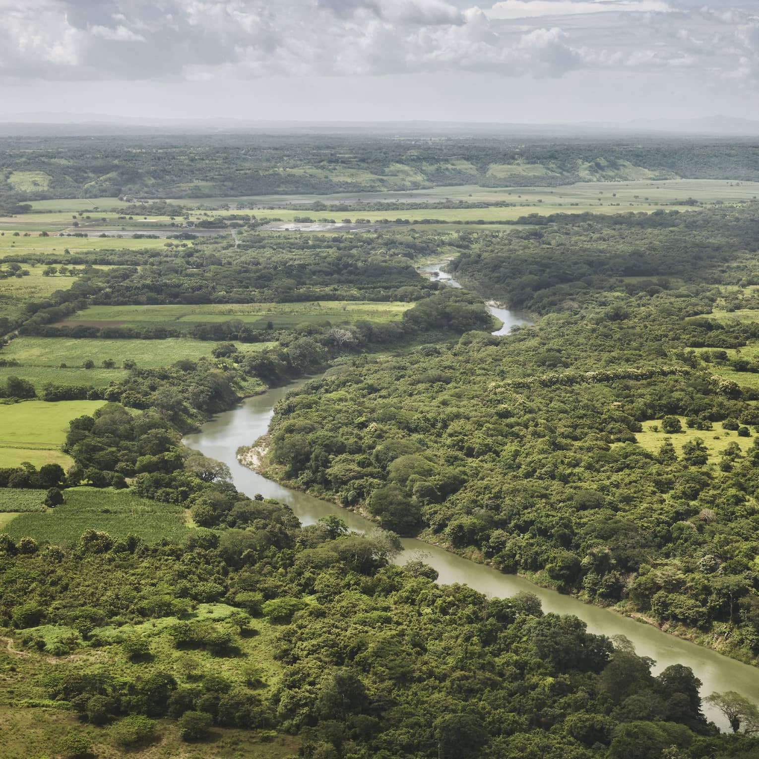 Aerial view of a river running through green farmland