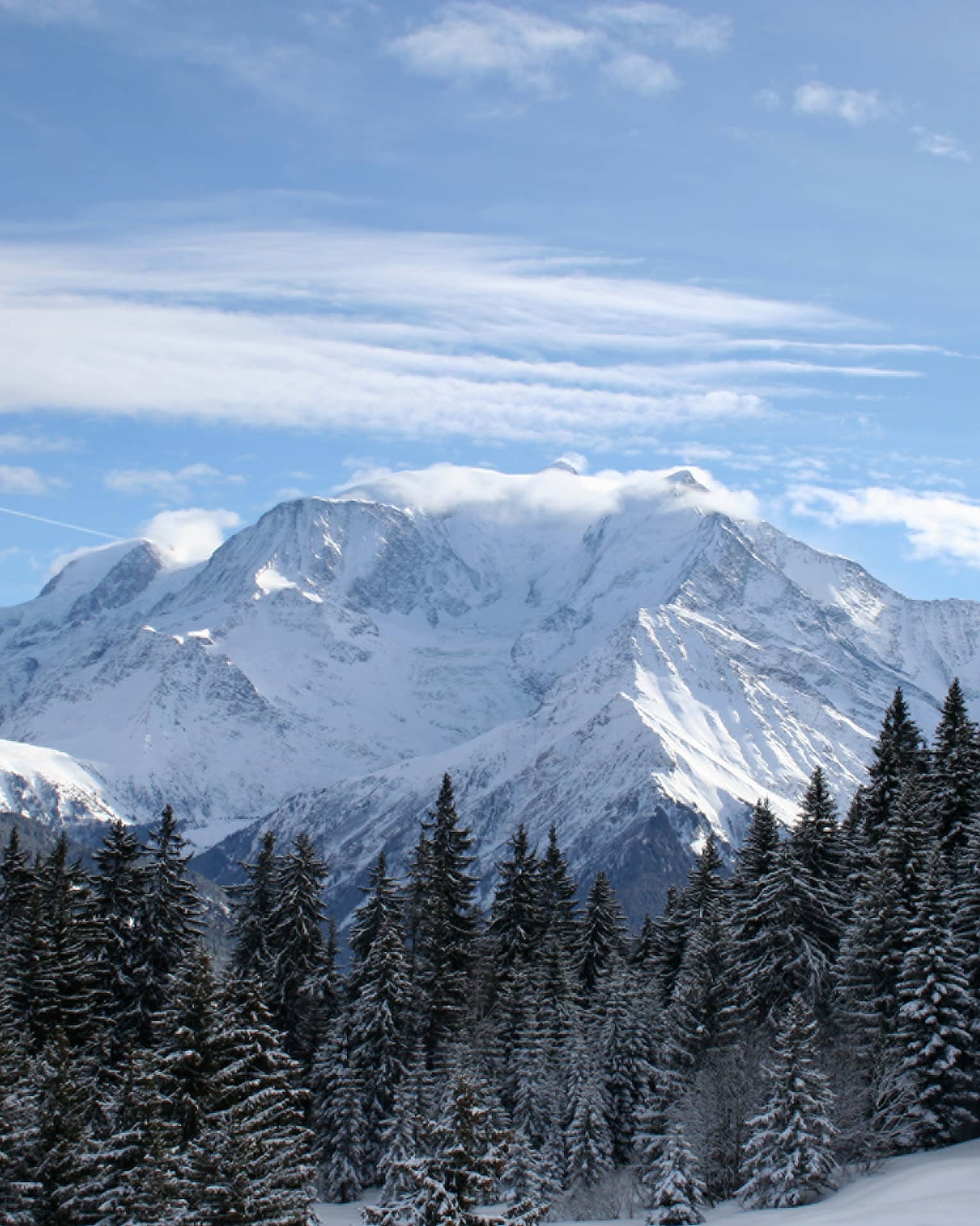 Snowy French Alps mountains over trees