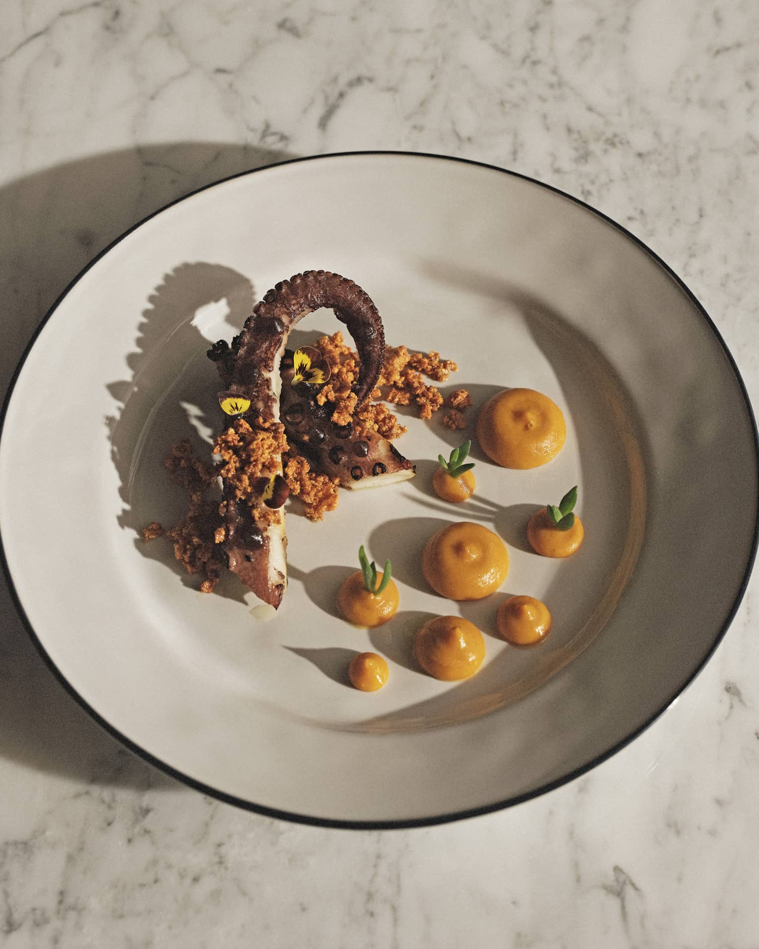 Contemporary Smoked Octopus dish