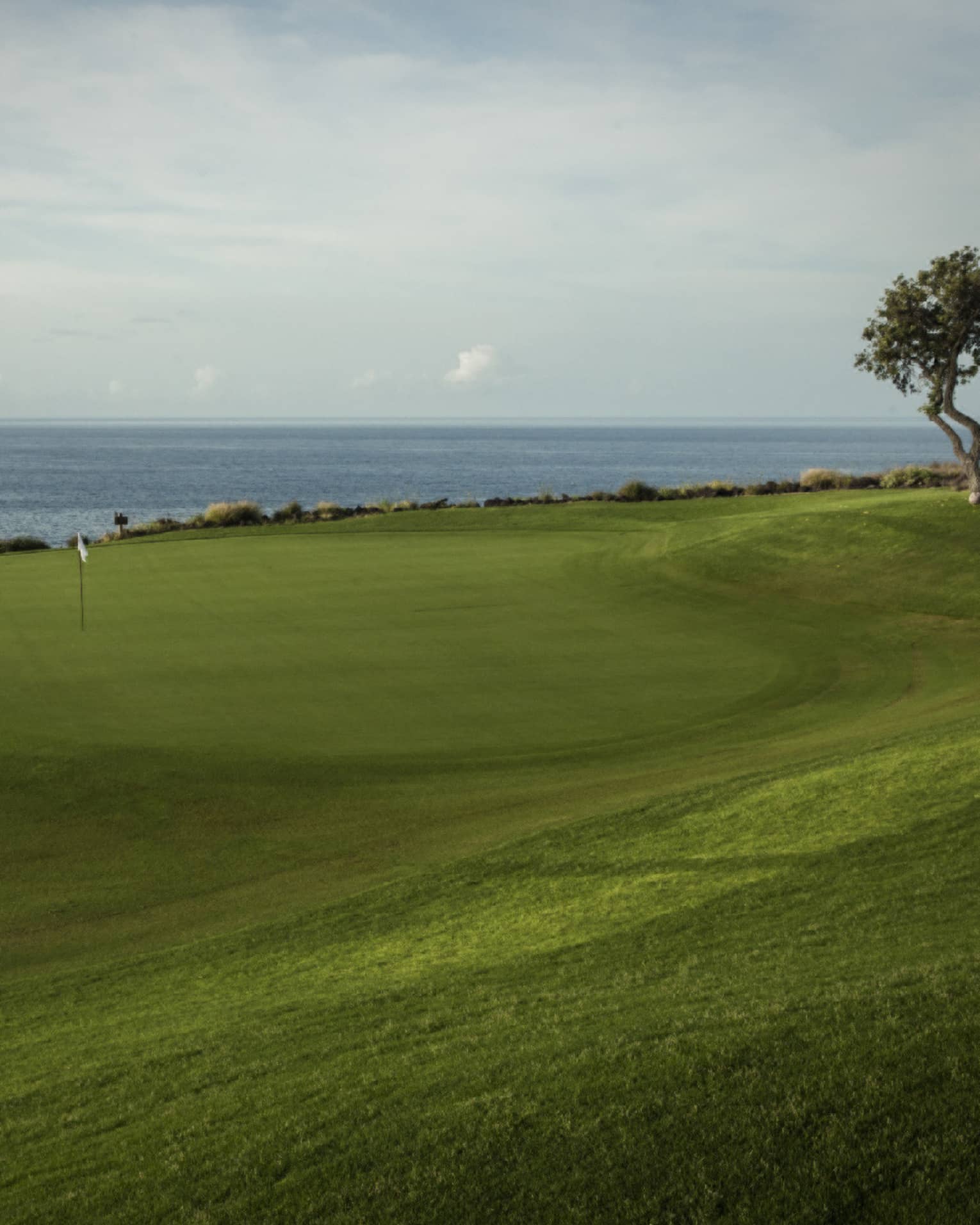 Swirly-shaped golf green with white flag, sandy bunker to the left, lone tree to the right, slate-blue ocean in the distance.