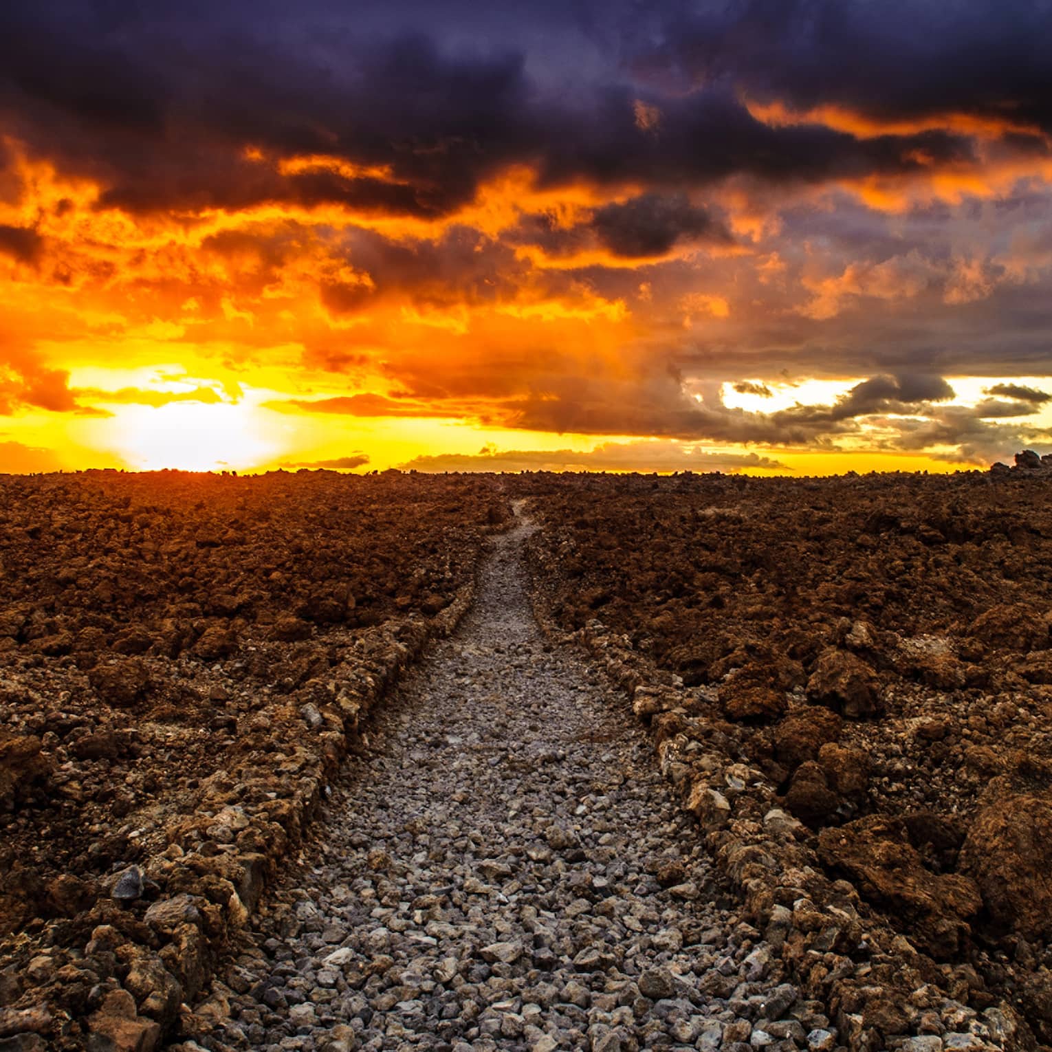 La Perouse / Kings Trail at sunset