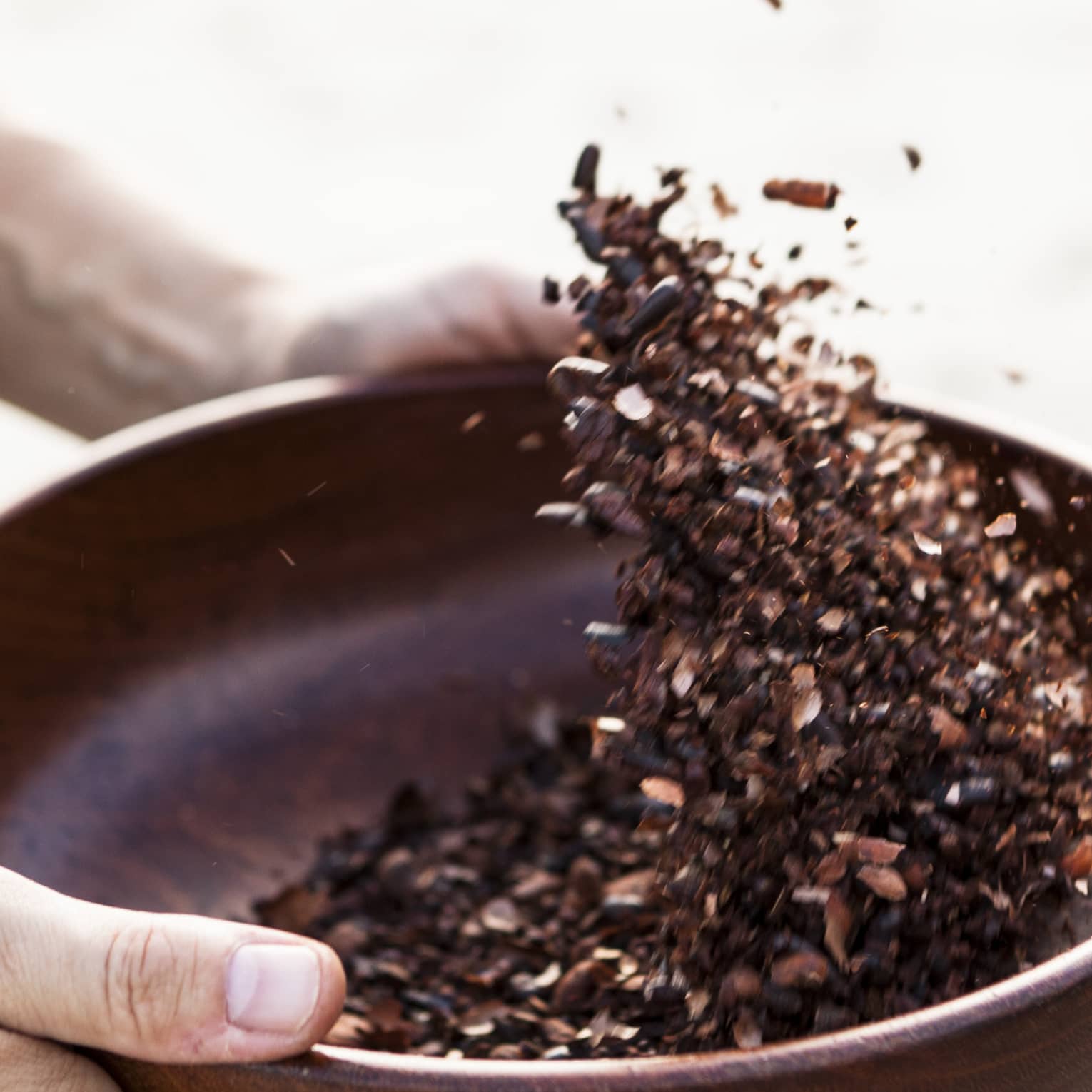 Close-up of hands holding dark wood bowl, shaking crushed cocoa