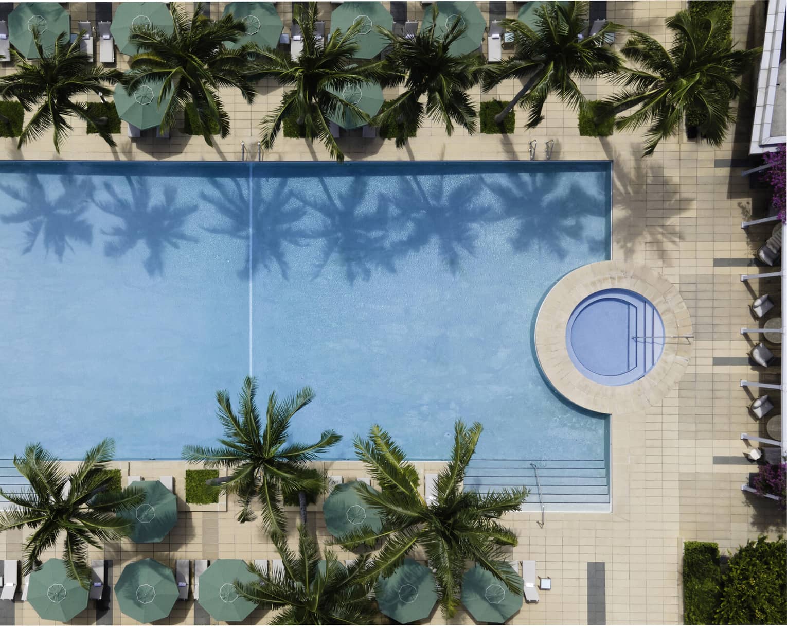 Aerial view of a luxurious rectangular swimming pool surrounded by palm trees and lounge chairs at the Four Seasons Hotel in Miami. The pool water reflects the palm tree silhouettes, enhancing the tropical ambiance.