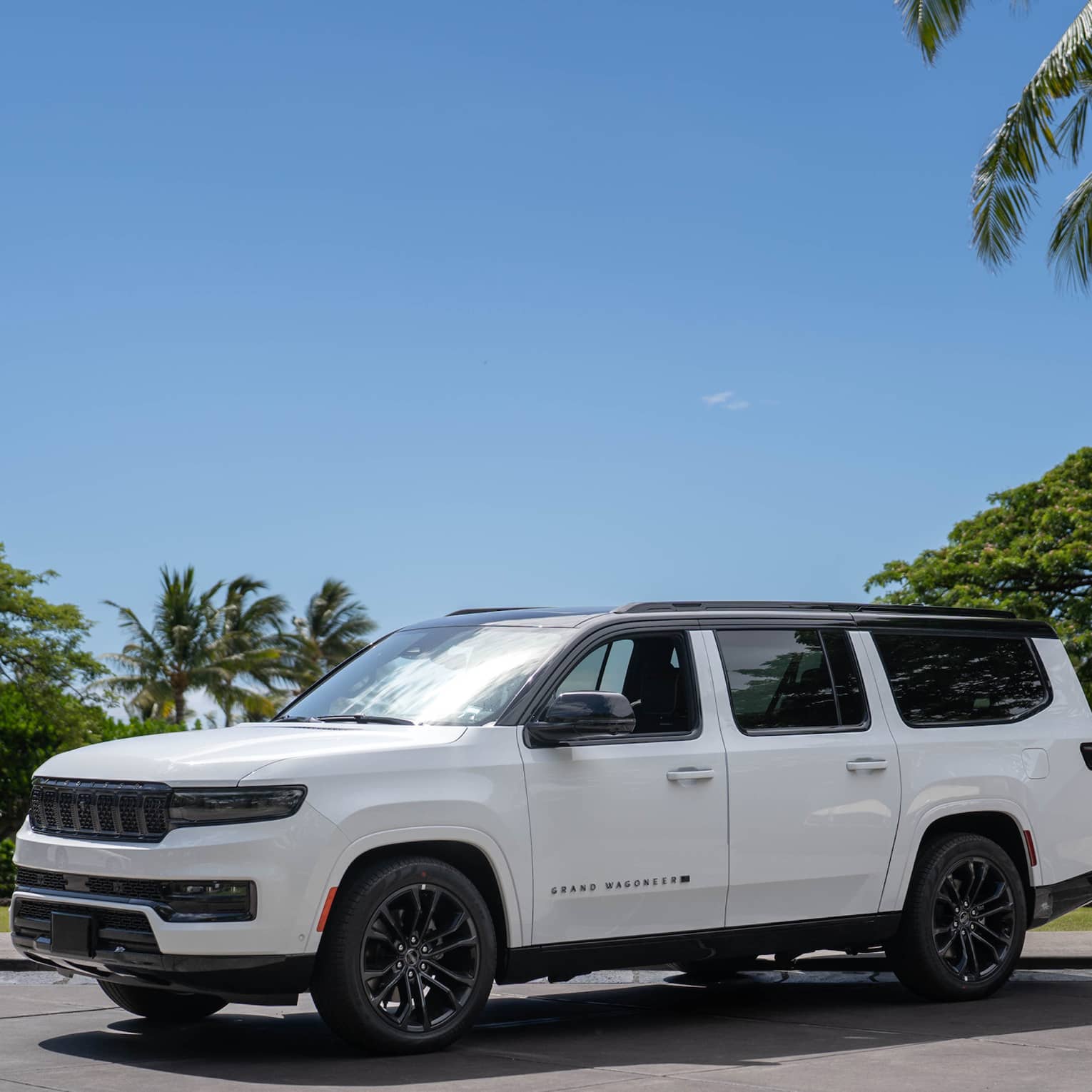 Large white SUV parked in a tropical setting
