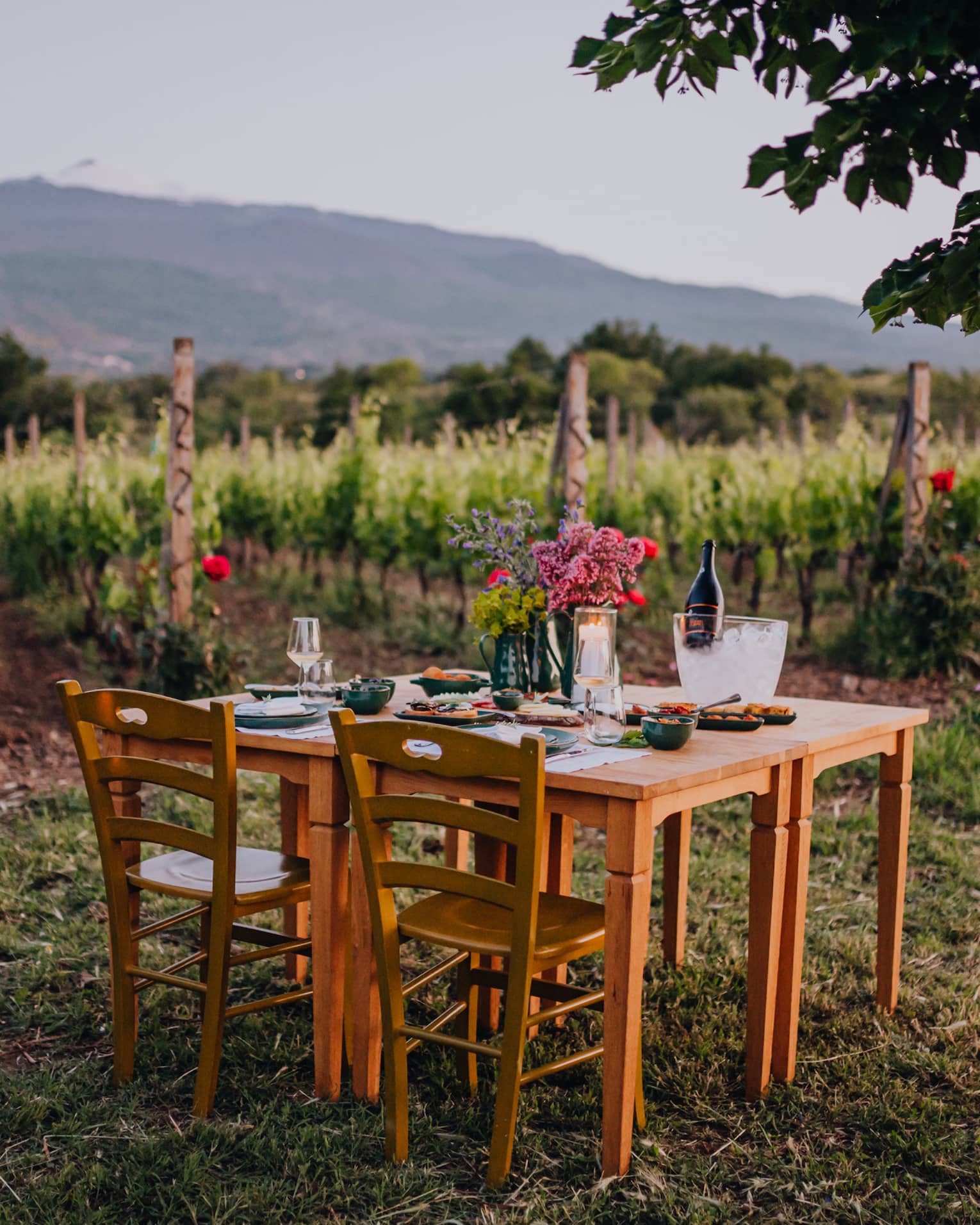 A vineyard table set for two with flowers, wine and glassware, surrounded by rows of grapevines and mountains in the background at sunset.