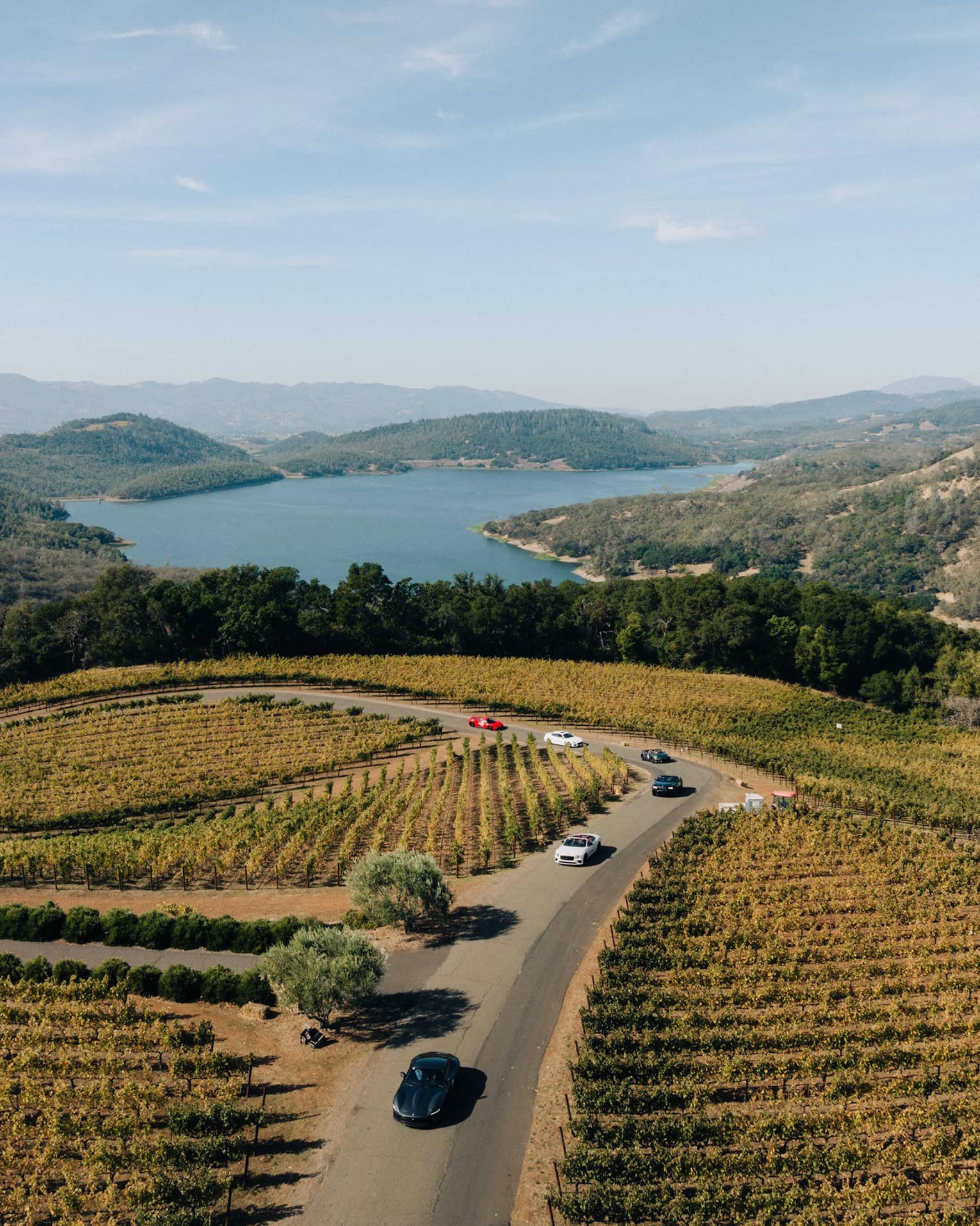 Aerial view of cars driving through a vineyard in Napa Valley