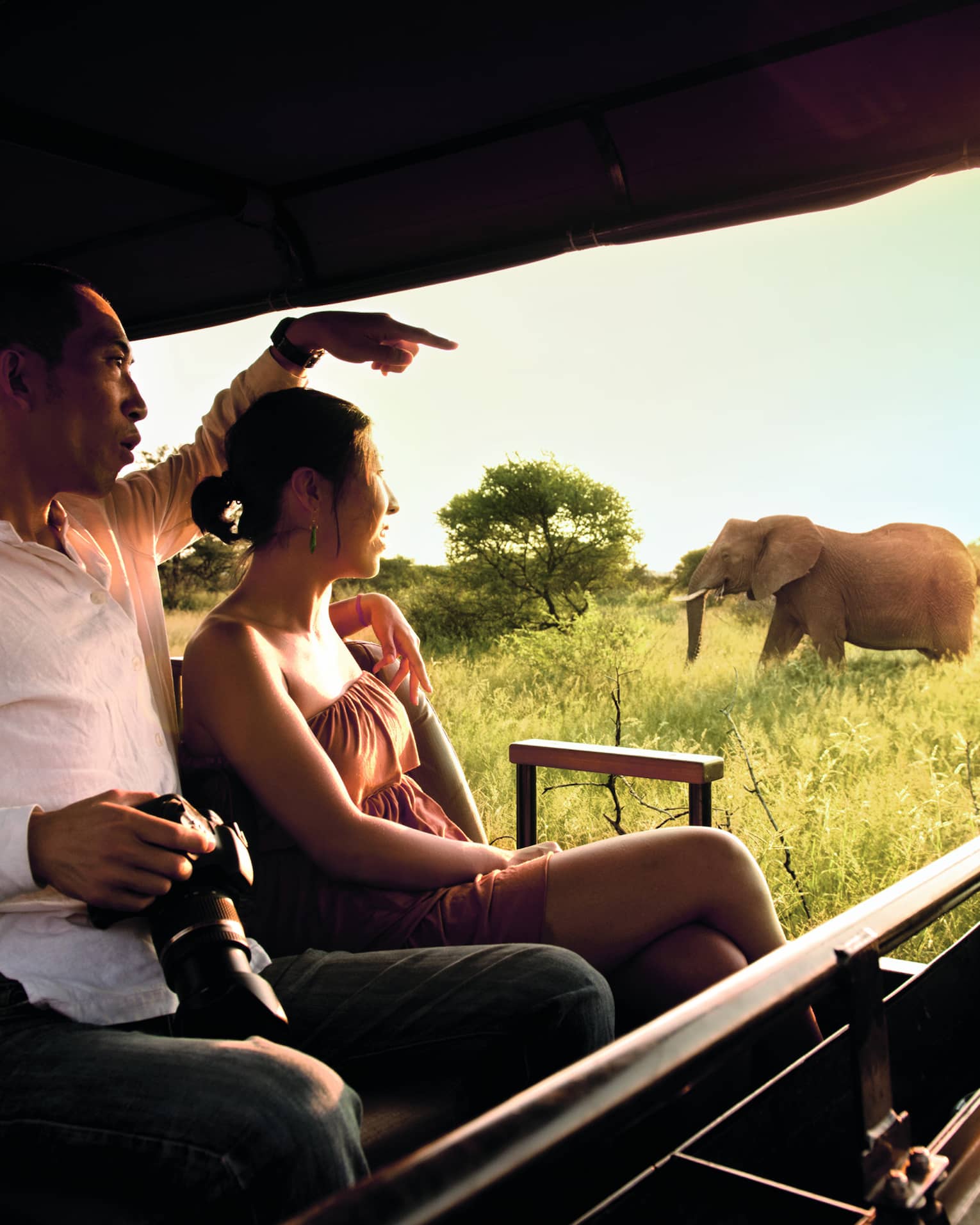Inside view from a safari jeep of a couple with a zoom lens camera watching a herd of elephants, bright sun streaming in.