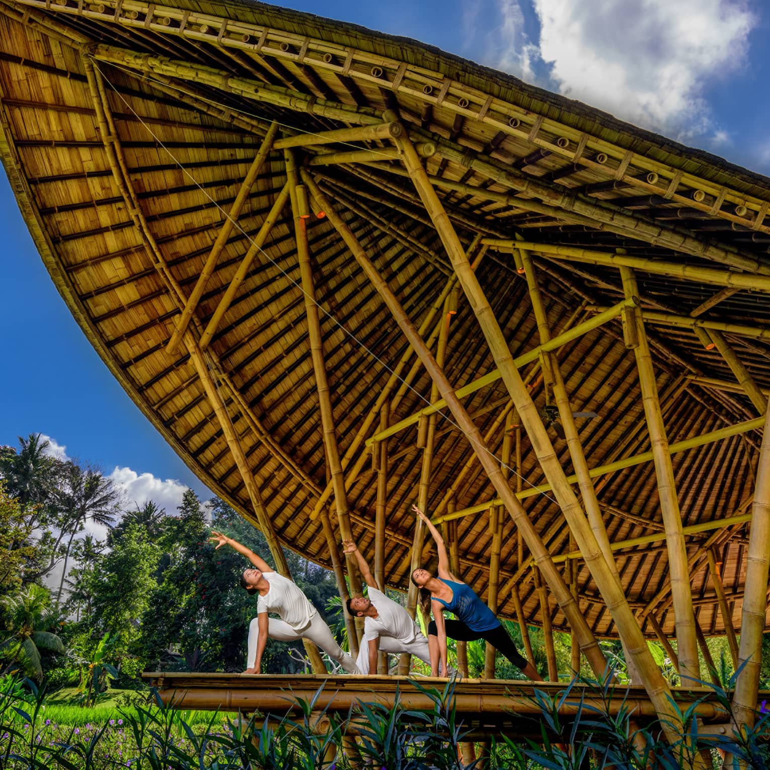 Three people hold yoga poses inside a large bamboo pavilion situated amongst tropical plants and lush grass.