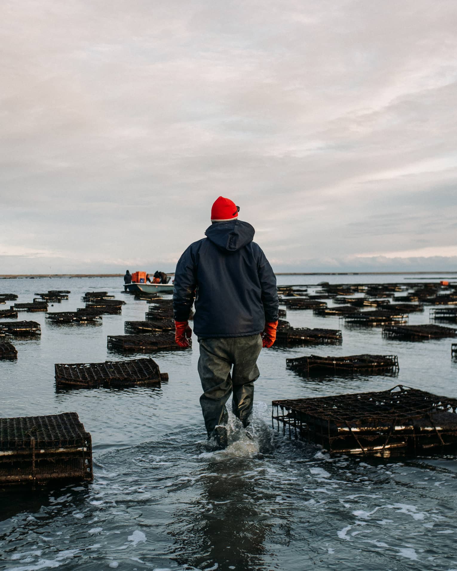 Rear view of an oyster farmer in a red hat wading through shallow water amid floating oyster cages under a cloudy sky.