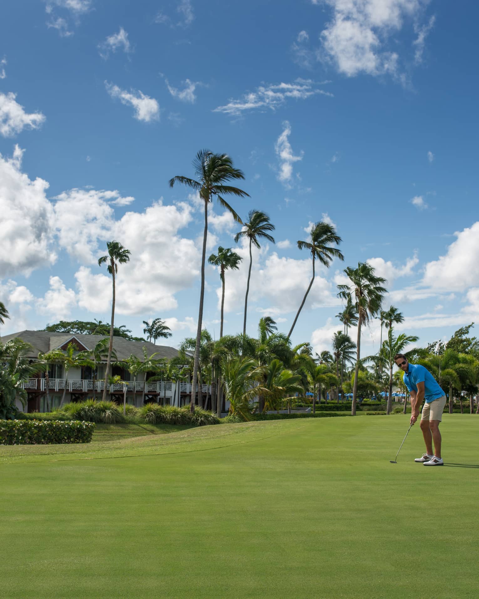 Golfer puts ball toward yellow flag on golf course green, tall palm trees
