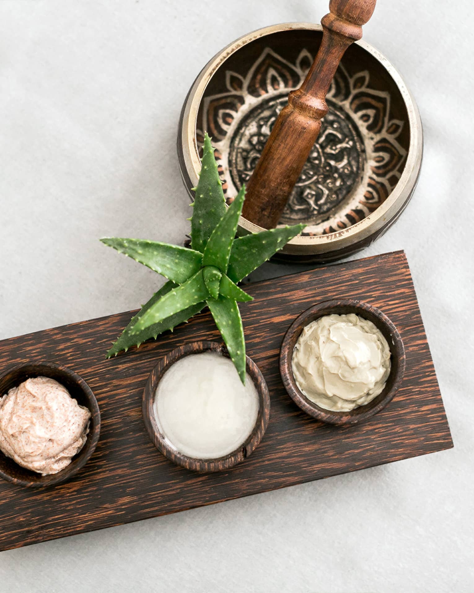 Aerial view of decorative mortar and pestle, small aloe plant, wood tray with three small bowls with creams