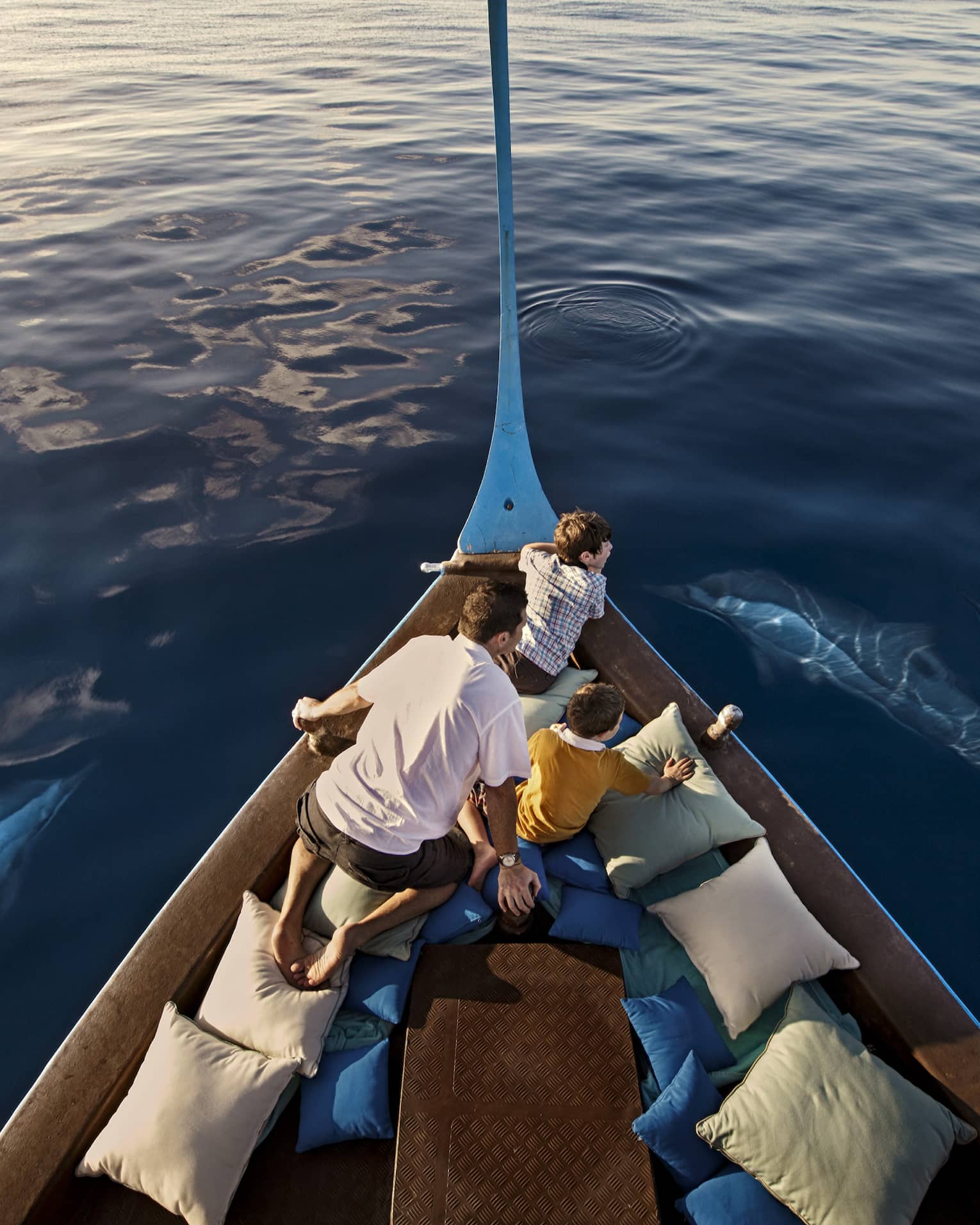 A man and two boys sit in a boat lined with blue and white pillows as dolphins swim around them