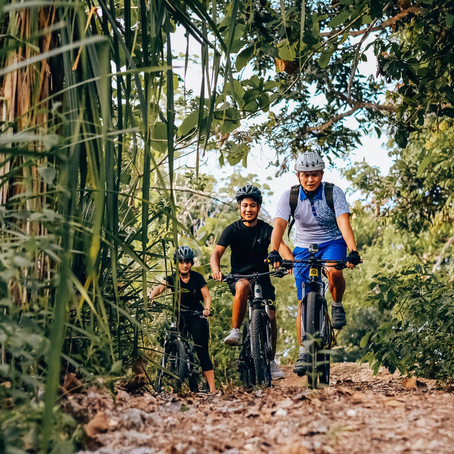 Three friends bike through the bamboo forest