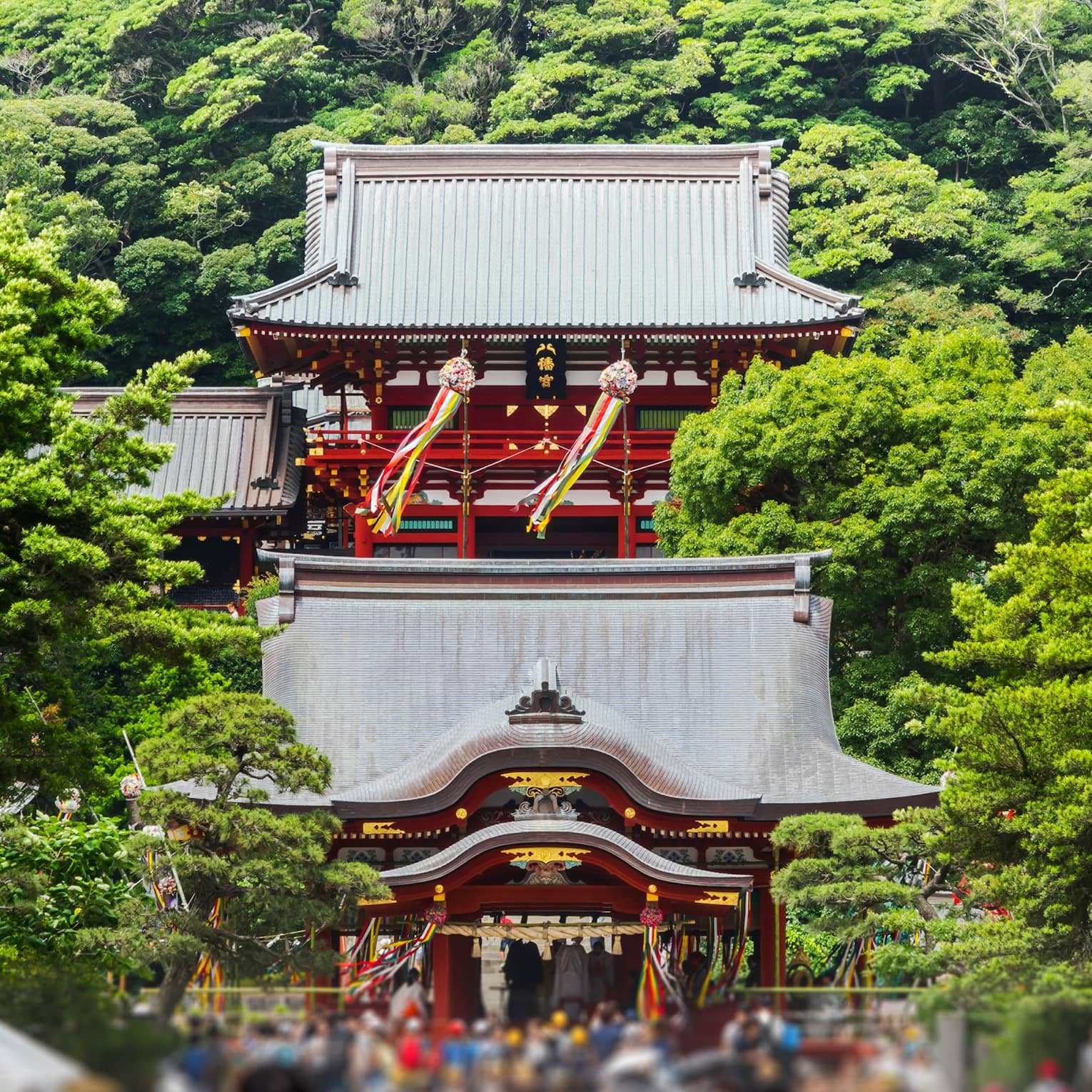 View towards a Shinto shrine decorated with colourful ribbons, blurred crowd in the foreground and towering trees behind.