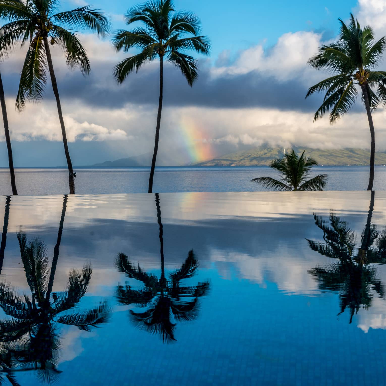 Scattered palm trees with blue sky and clouds in backdrop and reflecting on clear still water