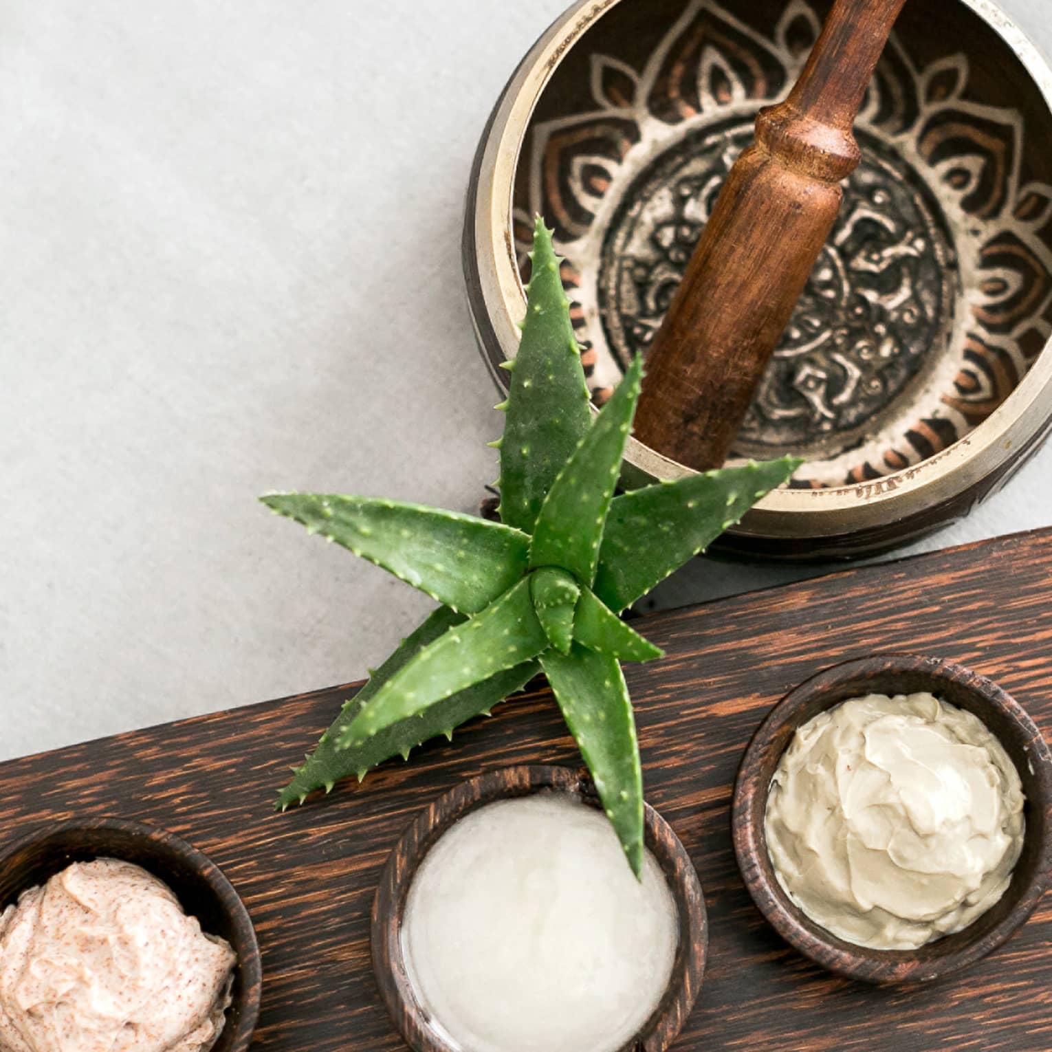 Aerial view of decorative mortar and pestle, small aloe plant, wood tray with three small bowls with creams