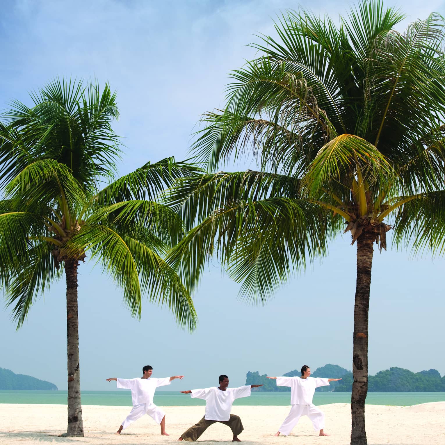 Three people stretch, balance in yoga poses between two large palms on beach