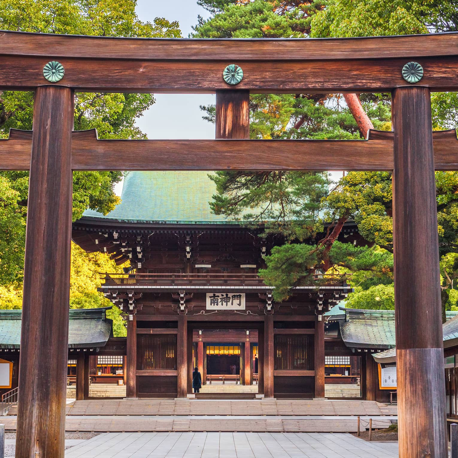 View through the entrance gate to the cypress wood and copper-roofed Meiji Shrine and grounds set amidst numerous lush trees.
