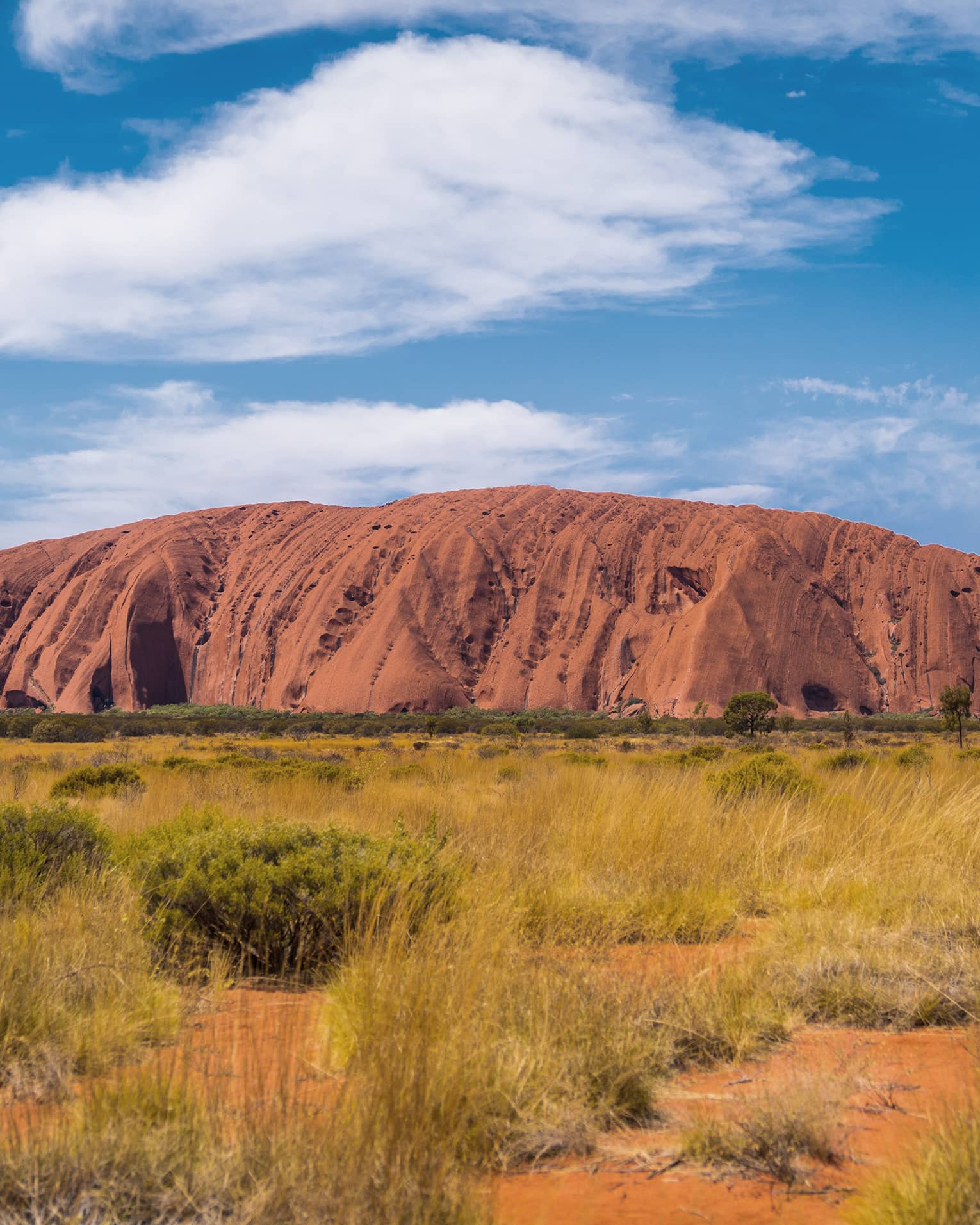 Uluru, a huge red sandstone rock, looms over a field of green and yellow grasses, under a blue sky dotted with white clouds.