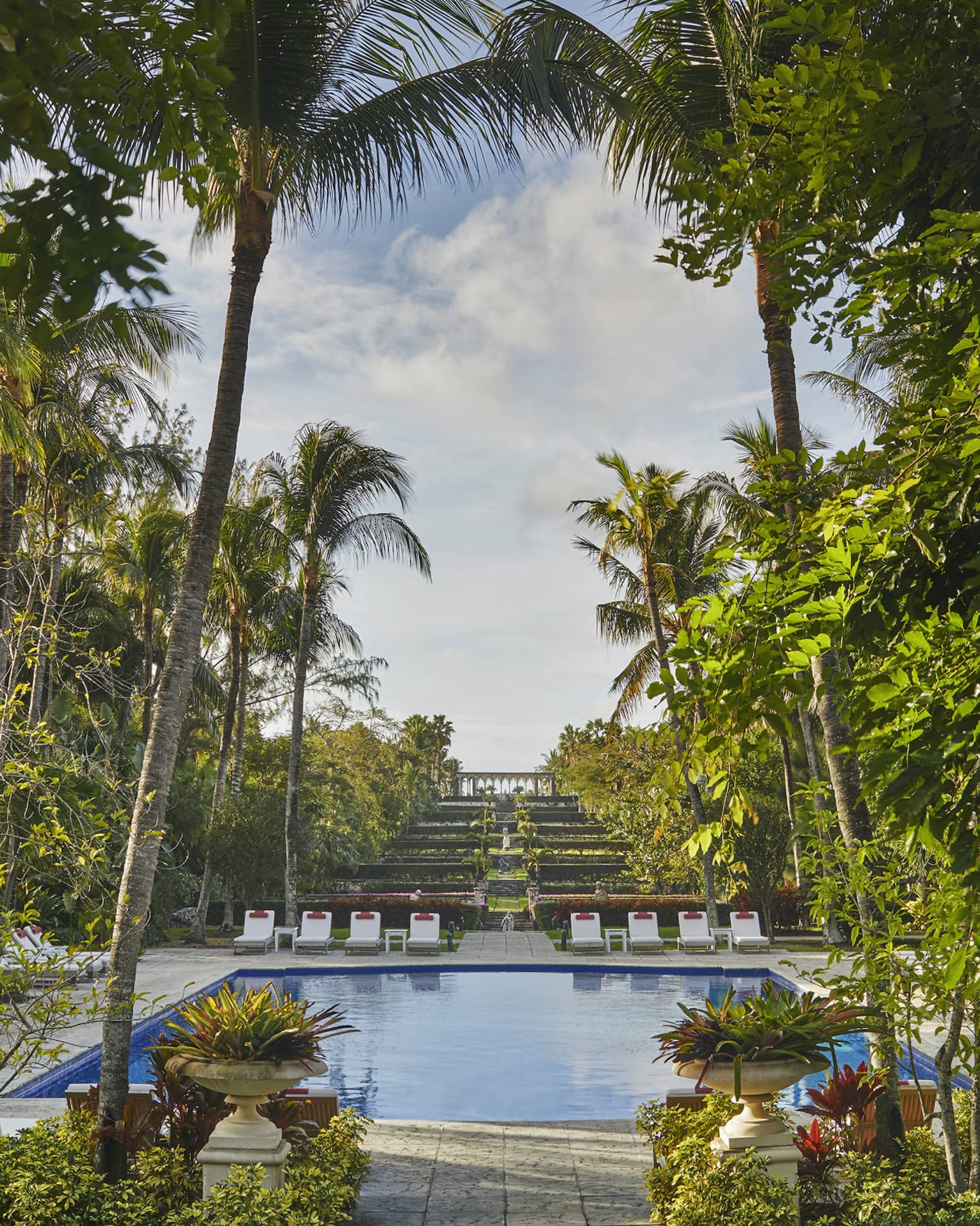 Luxury resort pool with lounge chairs surrounded by tall palm trees and lush greenery