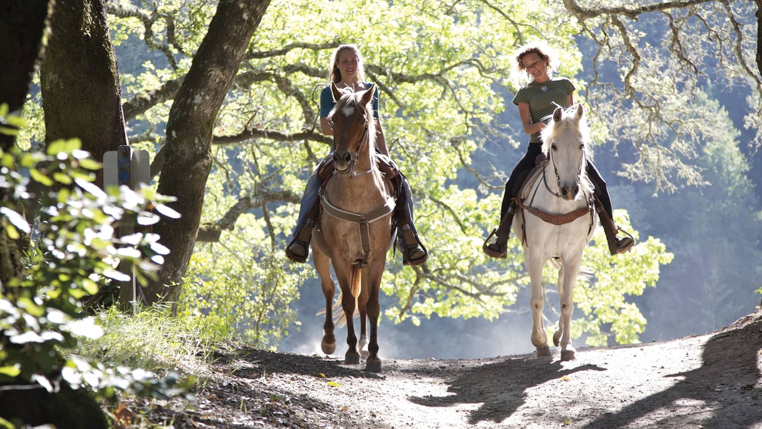 Two smiling women horseback riding on sunny path, one on brown horse and one on white horse
