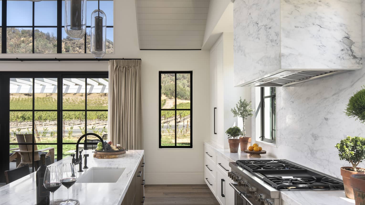 Luxury resort kitchen with marble island, white cabinetry, stove, potted plants, wine glasses and views of the vineyard through large windows