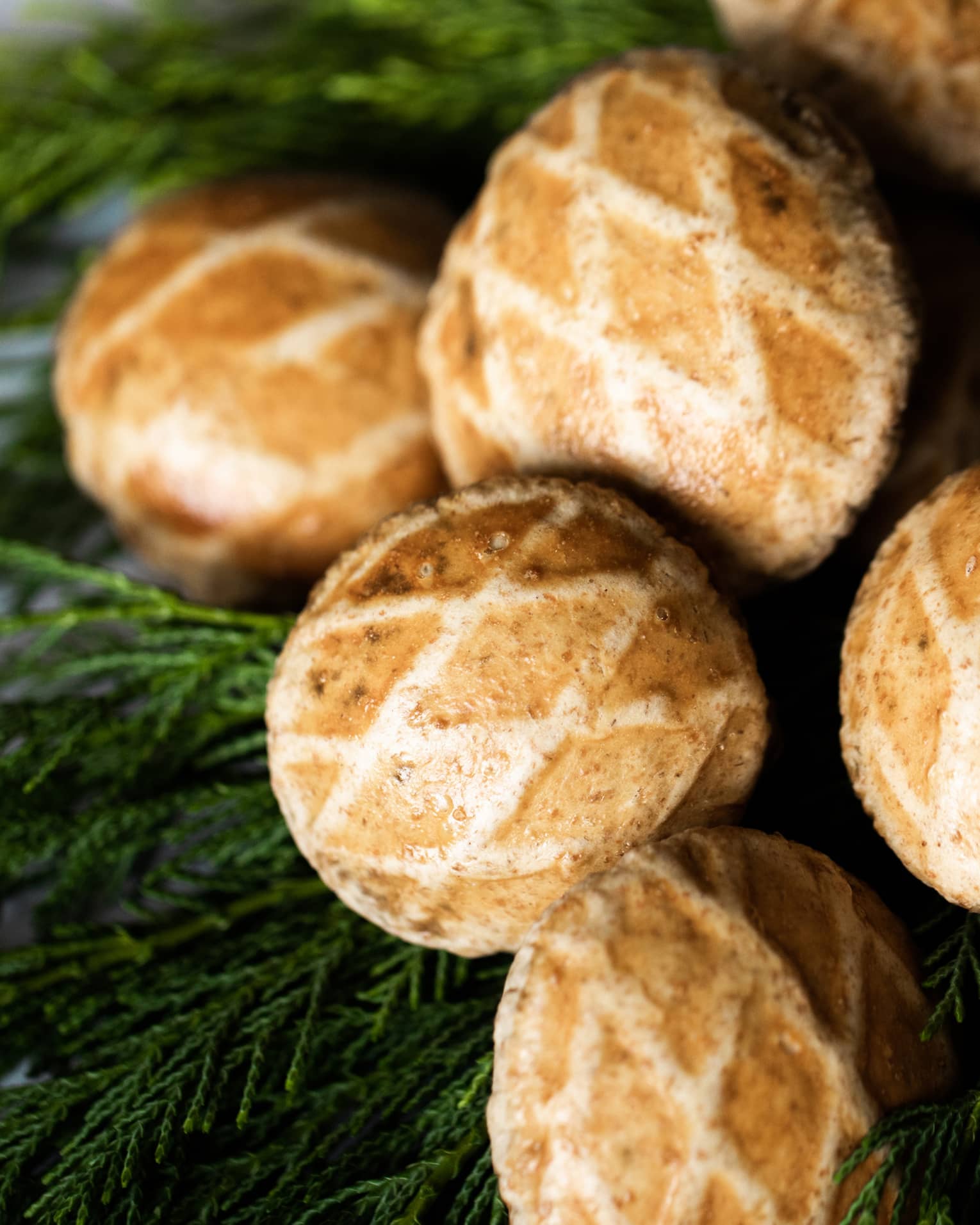 Seven bread buns featuring criss-cross patterns lay gathered on top of dark green branches of evergreen