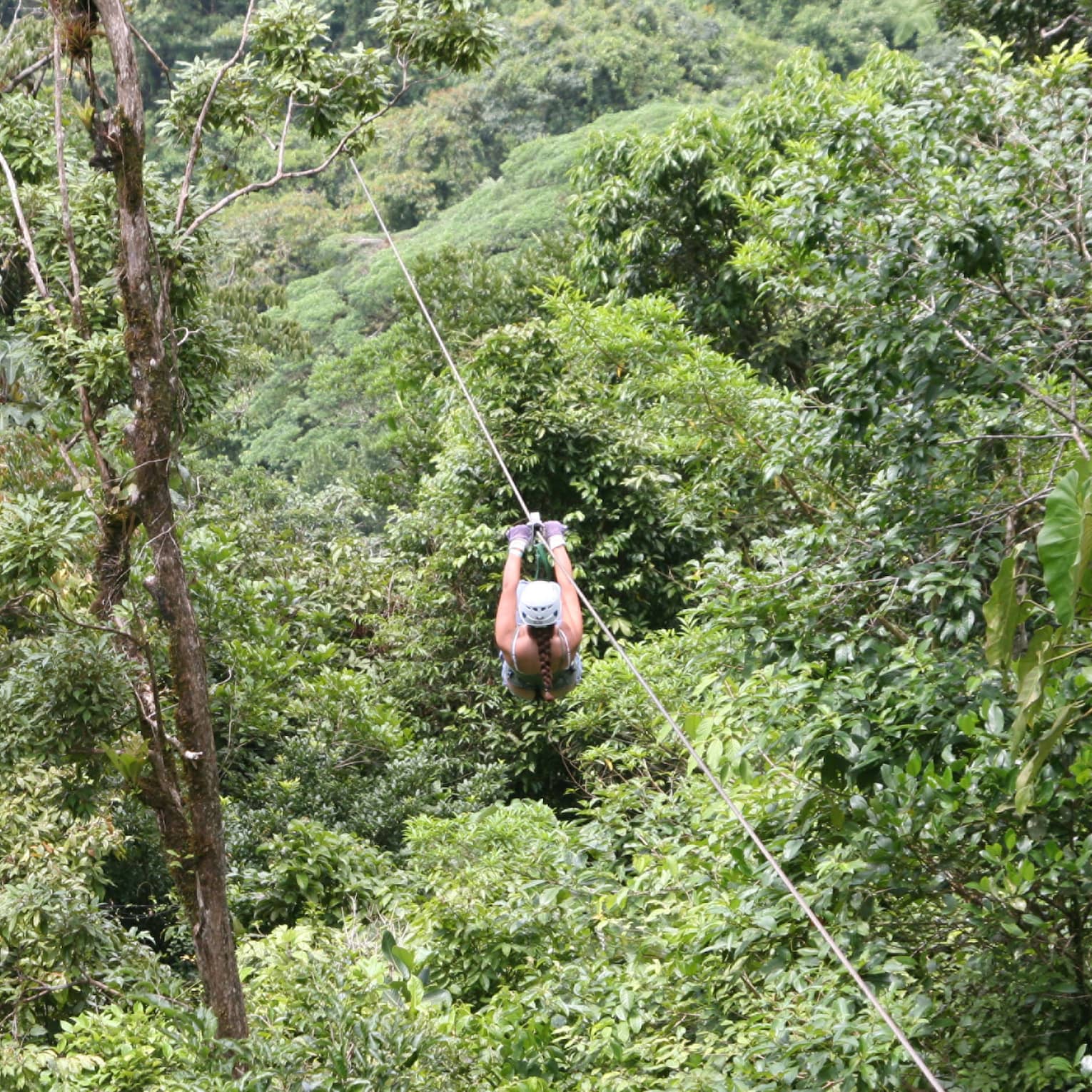Aerial view of a person zip-lining through dense forest. Gripping the handlebars, the adventurer soars above towering trees.