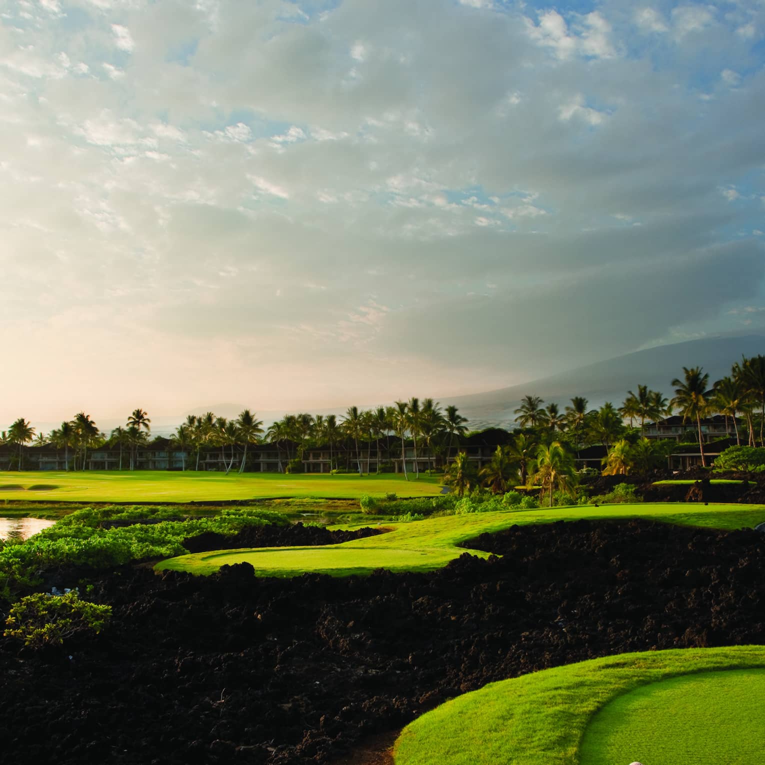 A picturesque golf course featuring bright green fairways, shrubs and distant palm trees under a rose-tinted clouded sky.