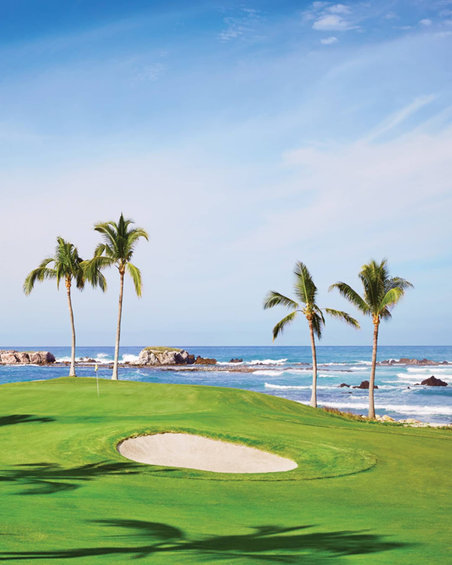 Green golf course right on ocean with pairs of tall palm trees