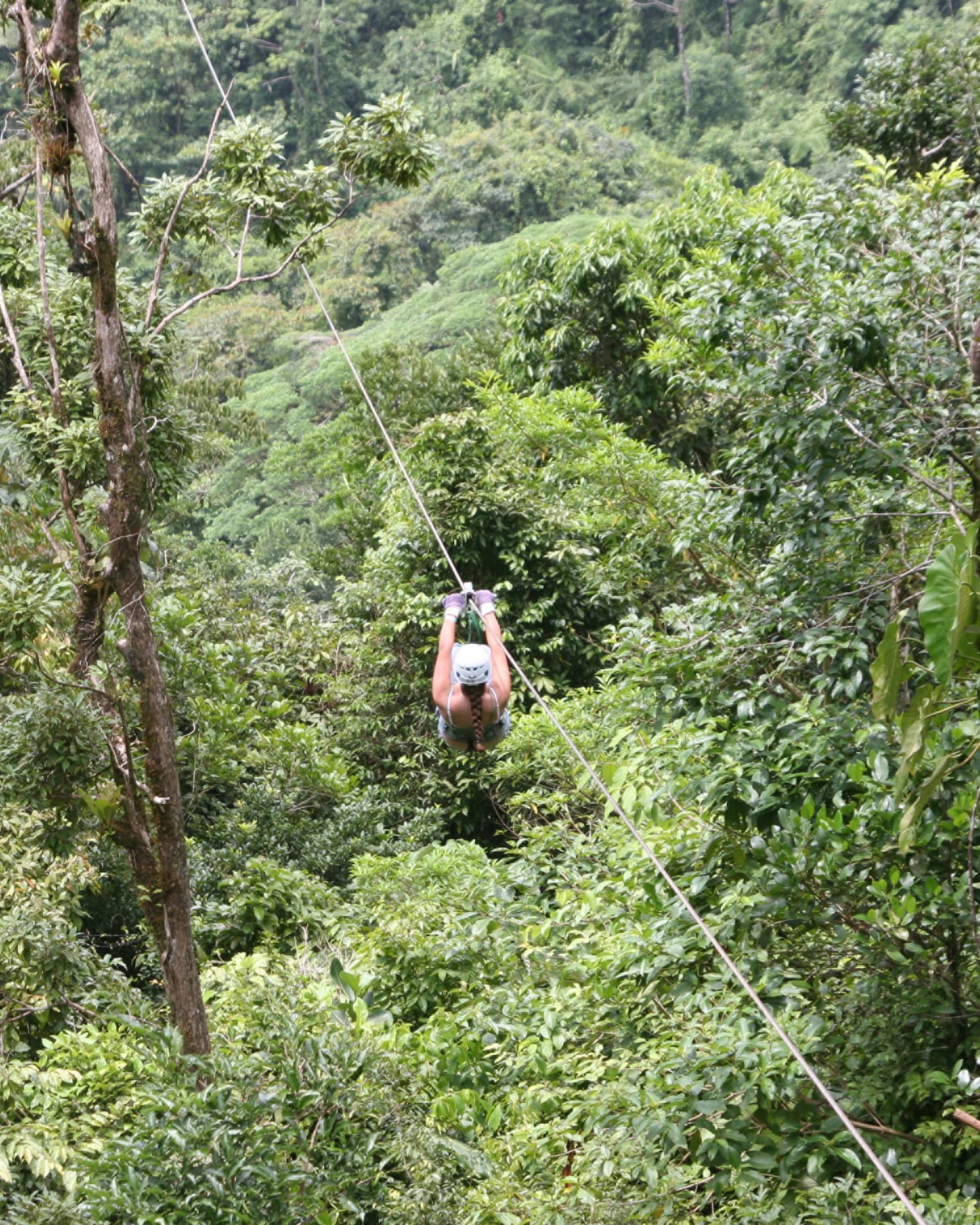 Aerial view of a person zip-lining through dense forest. Gripping the handlebars, the adventurer soars above towering trees.