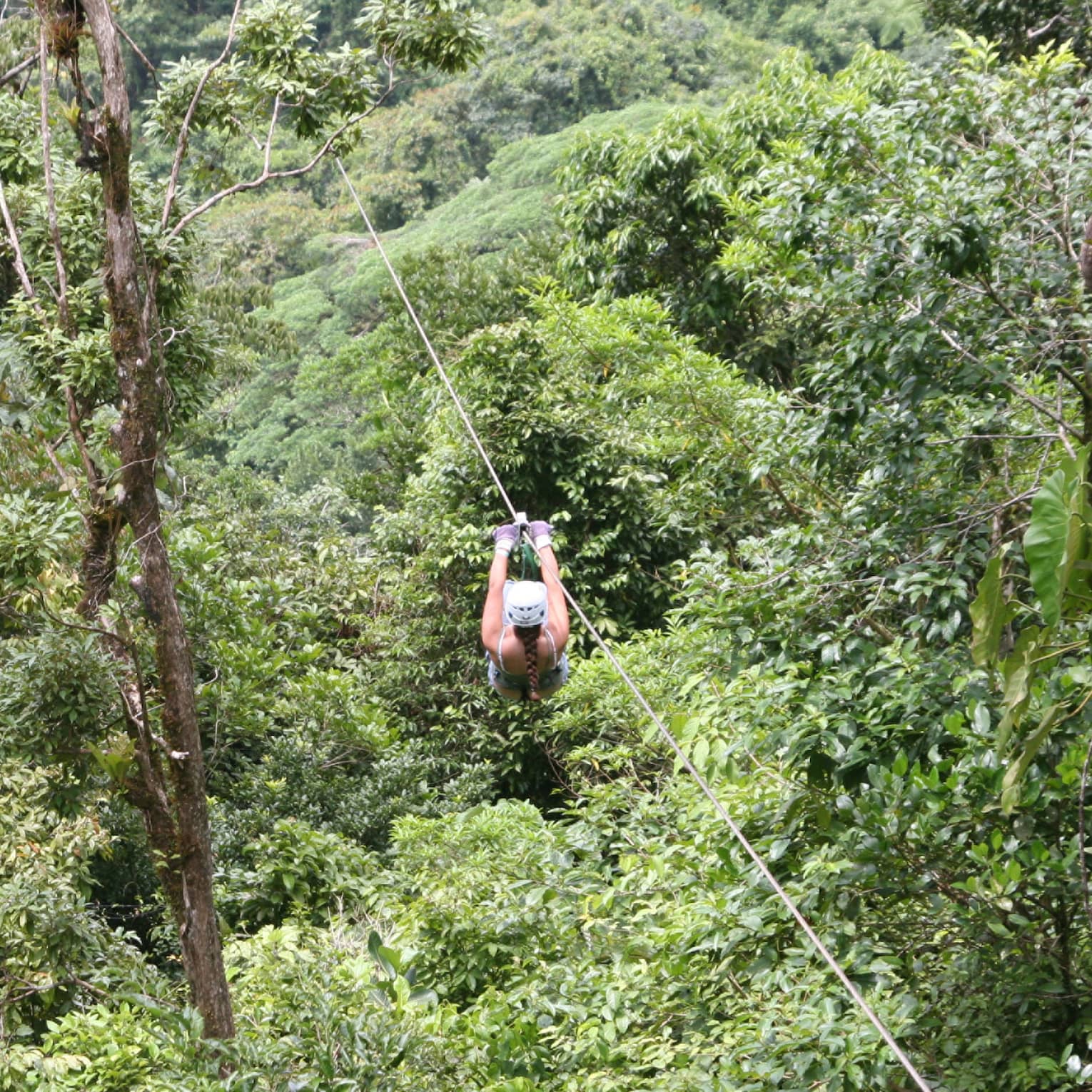 Aerial view of a person zip-lining through dense forest. Gripping the handlebars, the adventurer soars above towering trees.