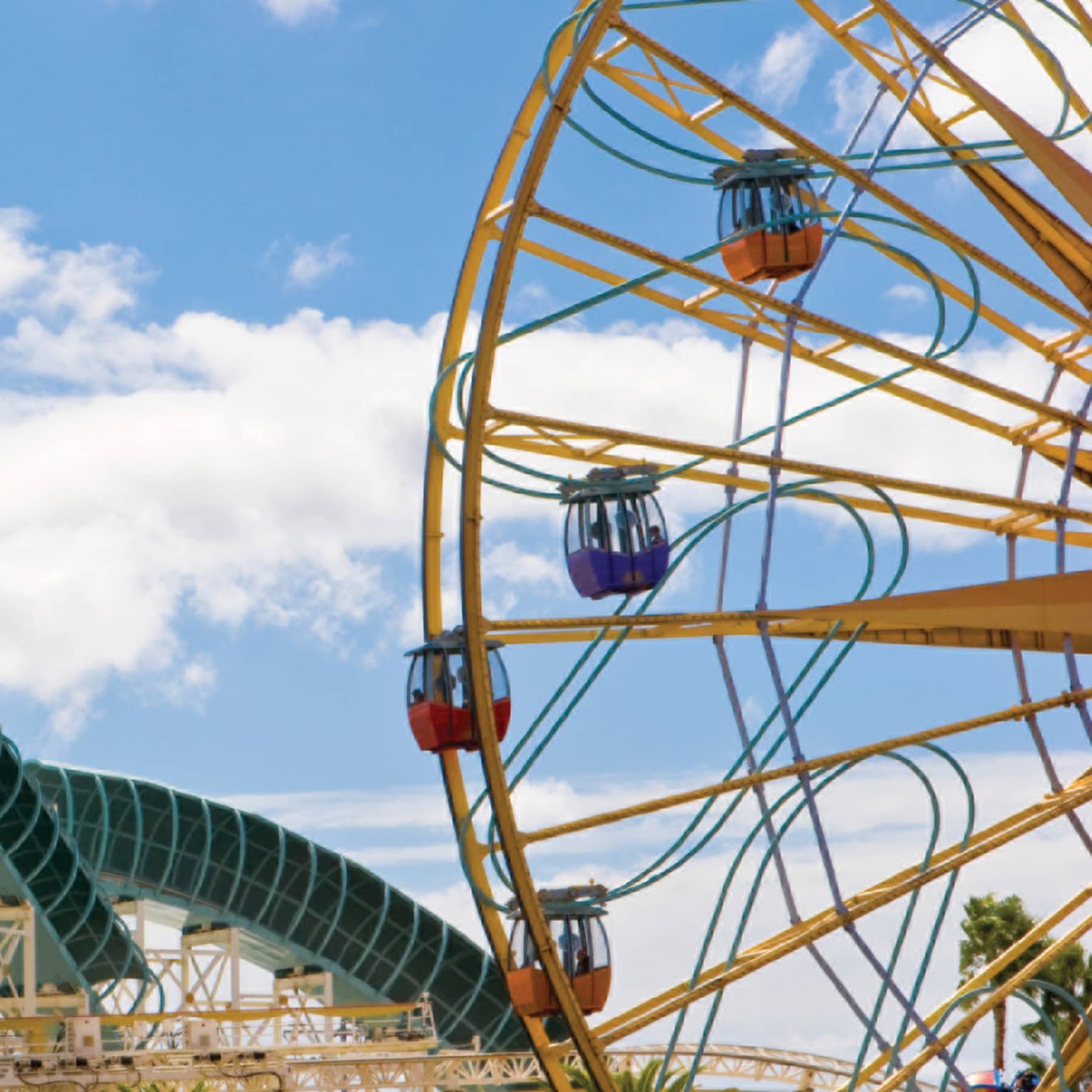 Side view of amusement park roller coaster track, ferris wheel over palm trees