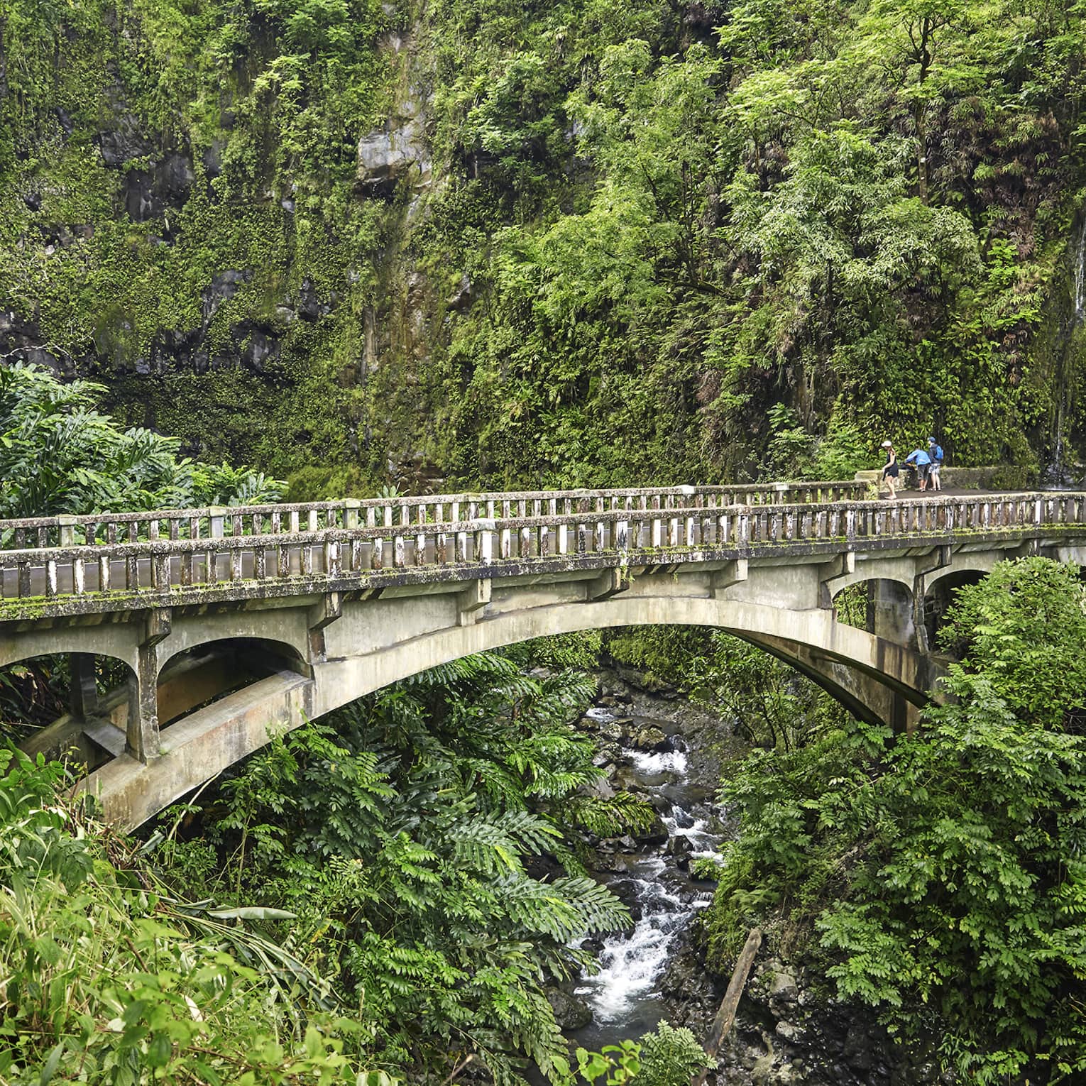 An antiquated bridge passes through lush greenery on the Road to Hana