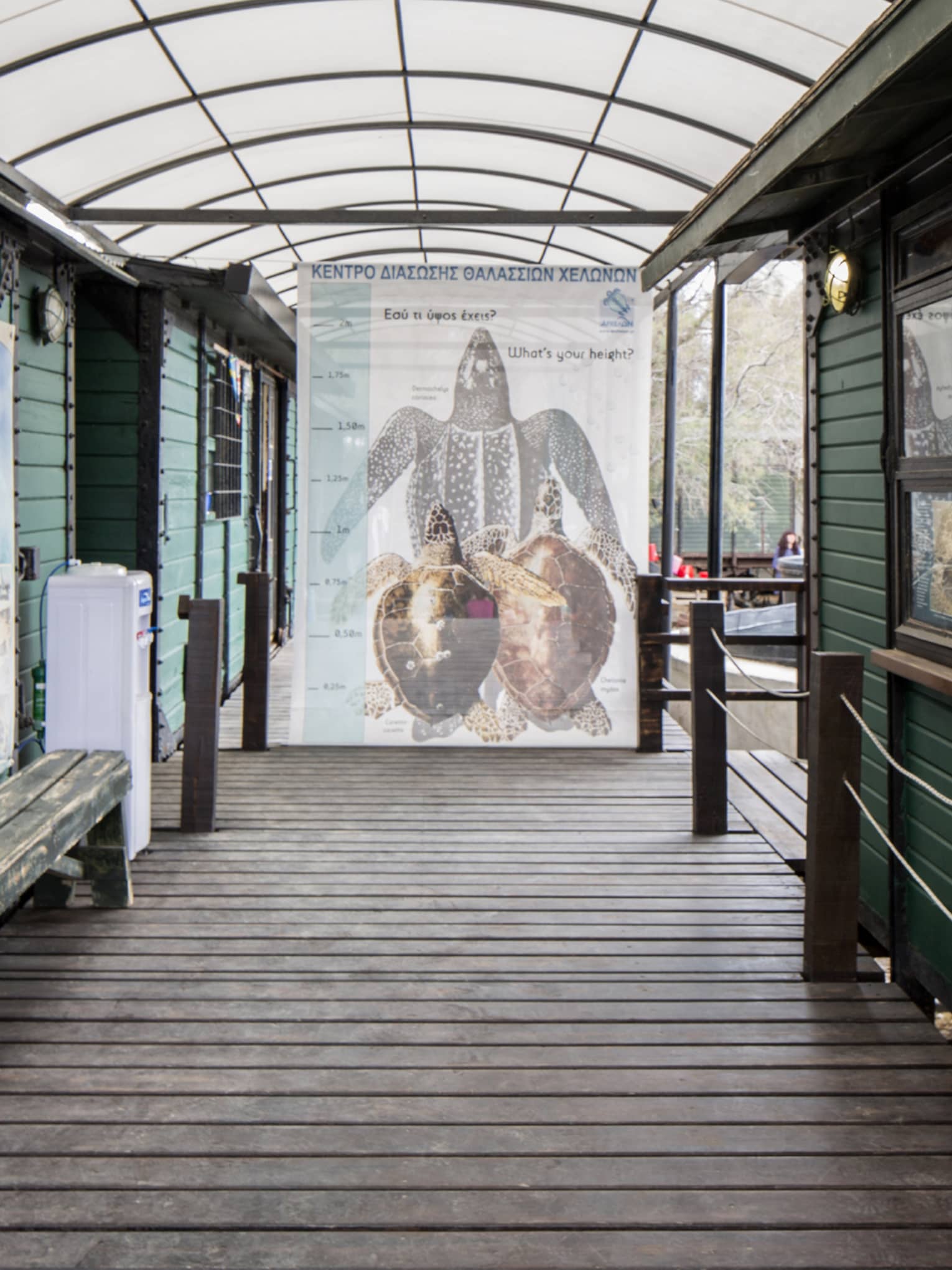 A chart of the length of sea turtles for guests to compare their heights with is placed in the center of a covered pathway.