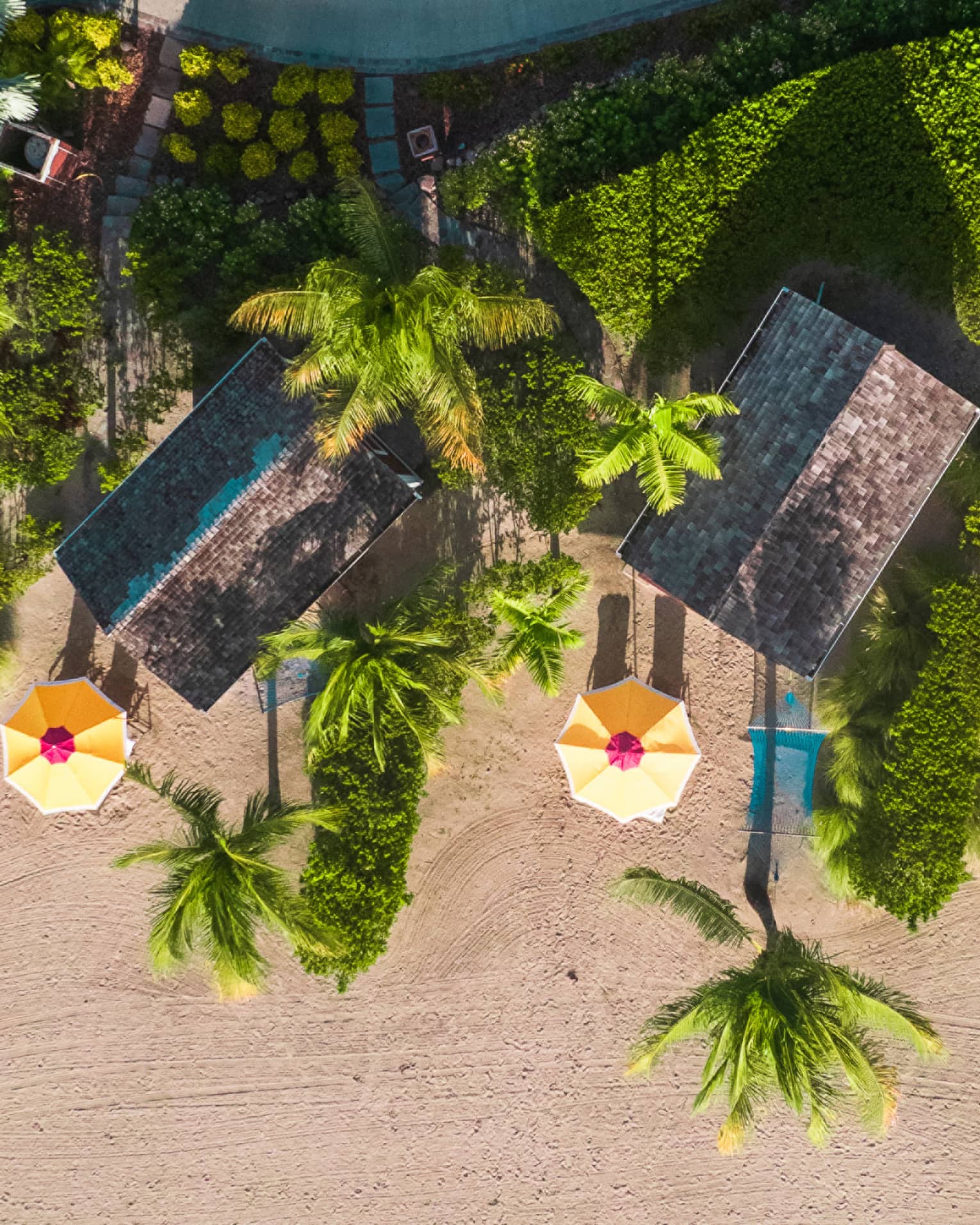 A beach with yellow umbrellas and palm trees.
