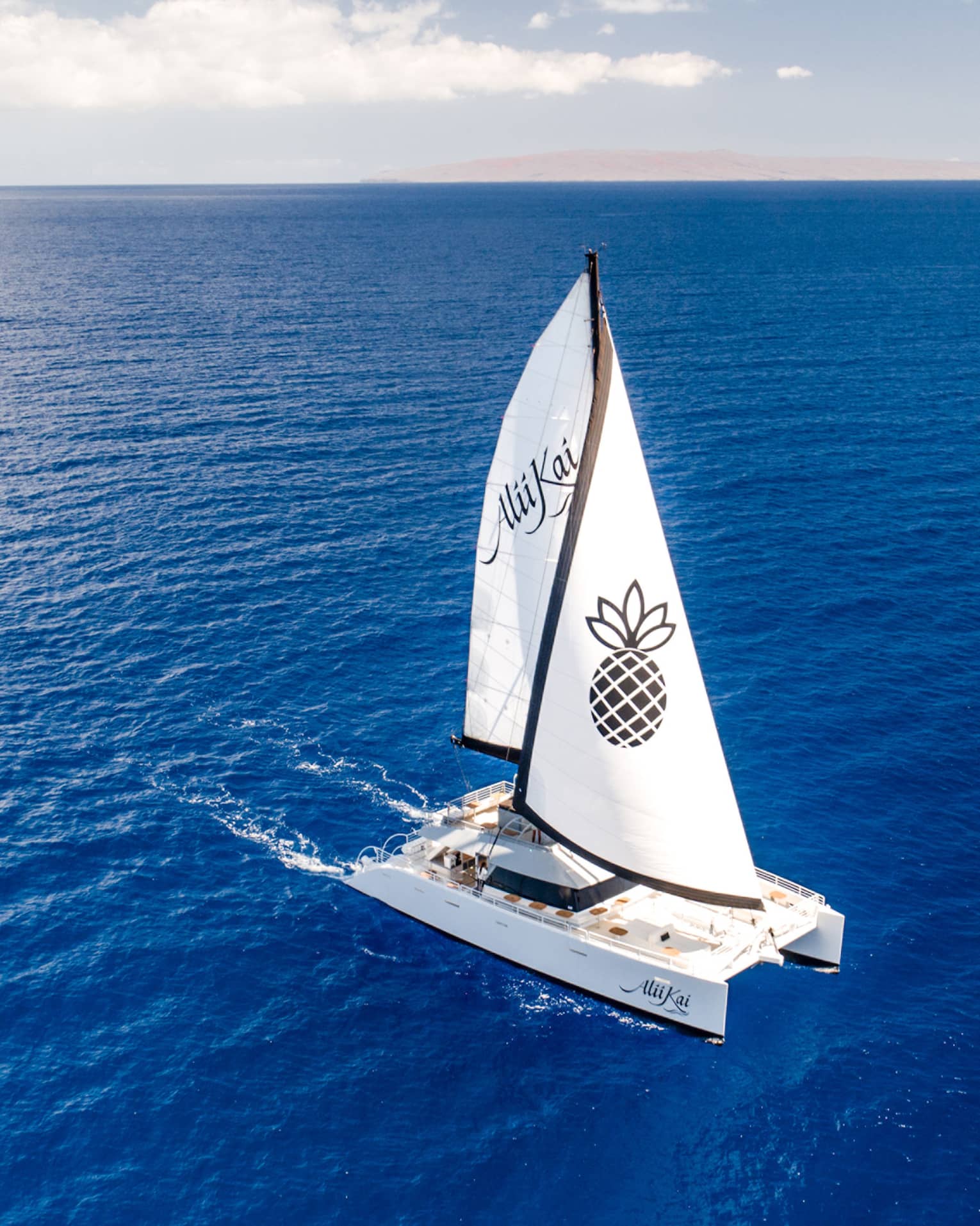 Luxury sail boat with pineapple on the sail, from Four Seasons Resort Maui