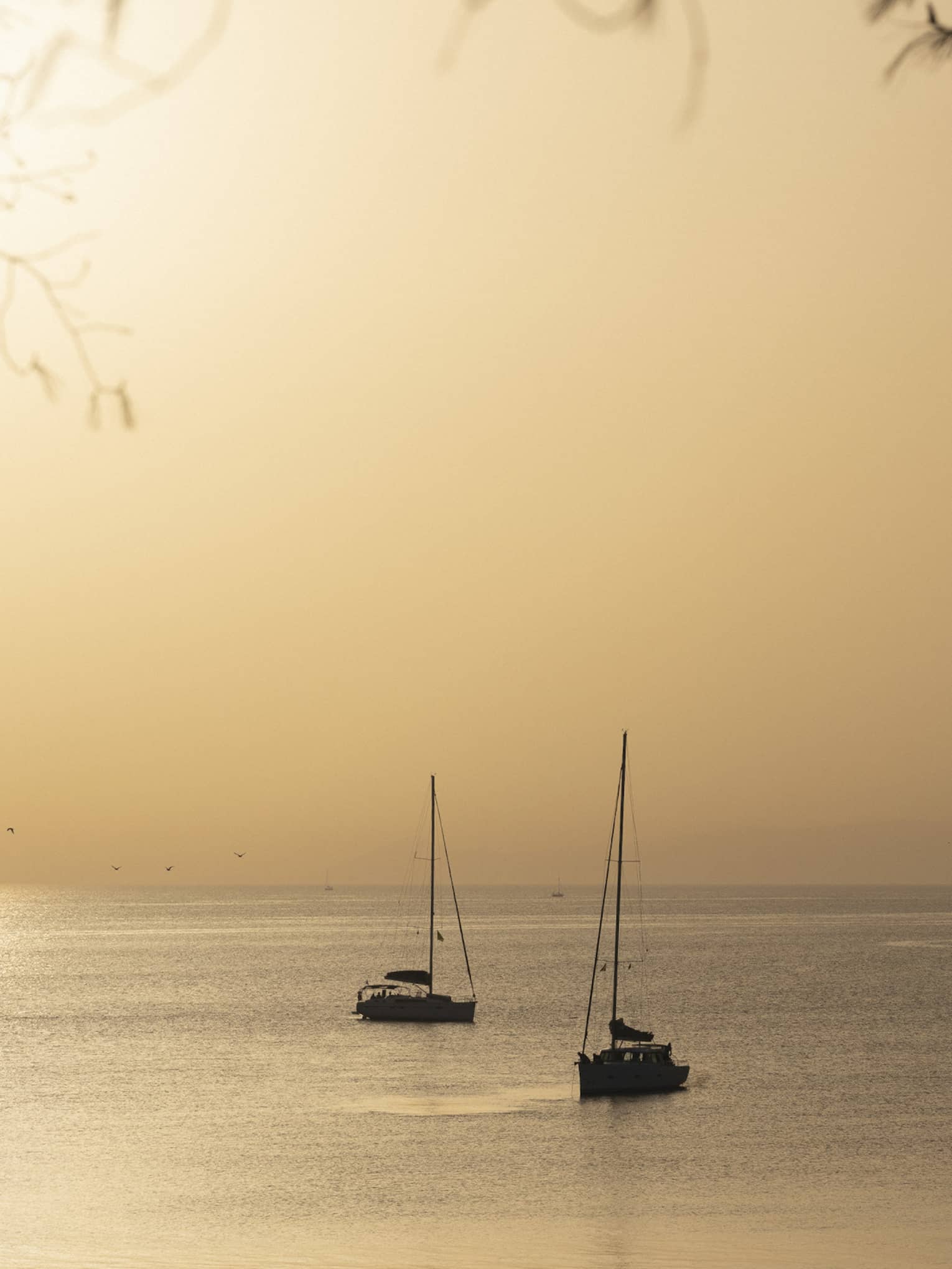 Silhouette of two sailboats at dusk on ocean cruising Greek isles.