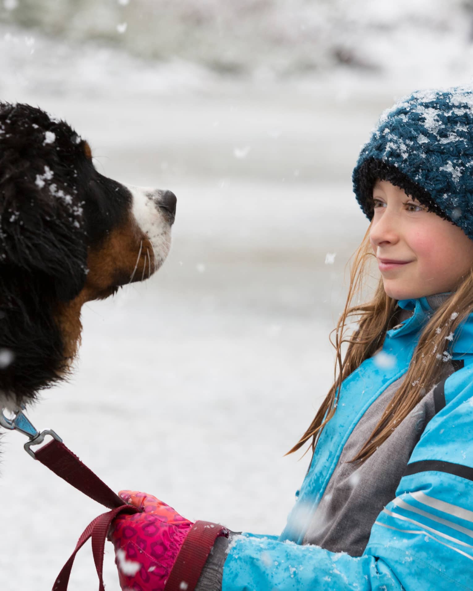 Young girl with knit hat holds leash of large dog as snow falls