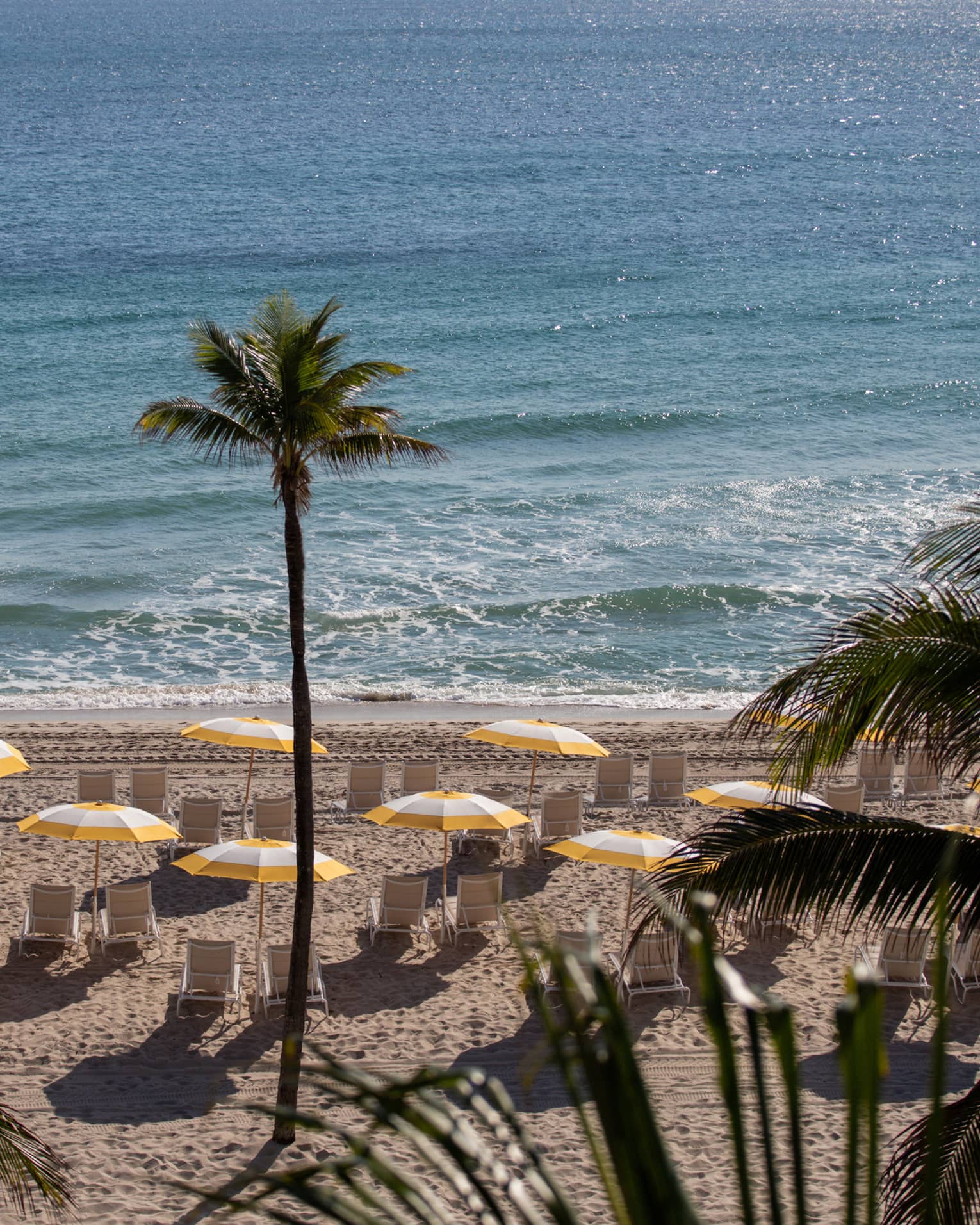 Umbrellas at the beach