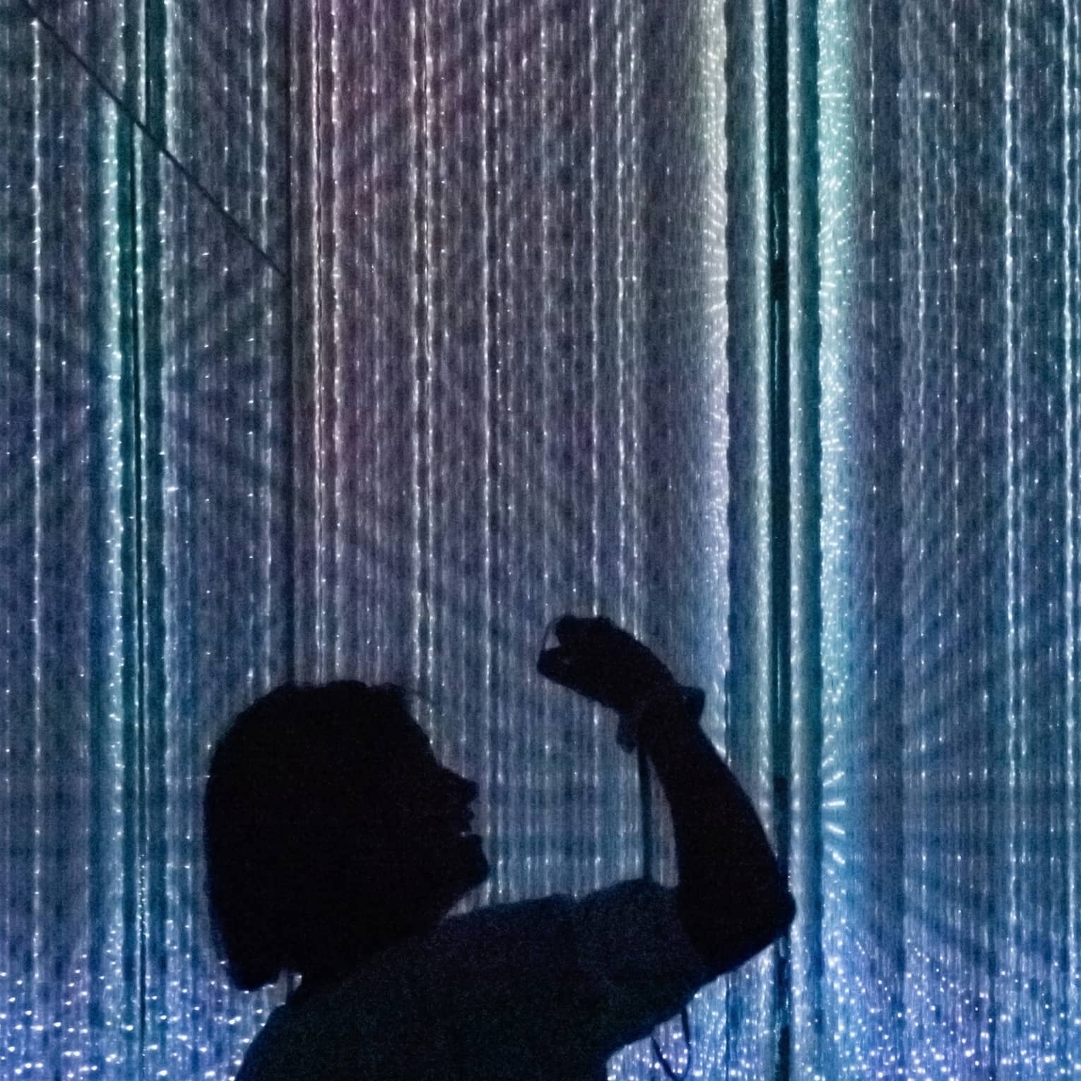 Silhouettes of people enjoying the digital art exhibit at Teamlab Planet